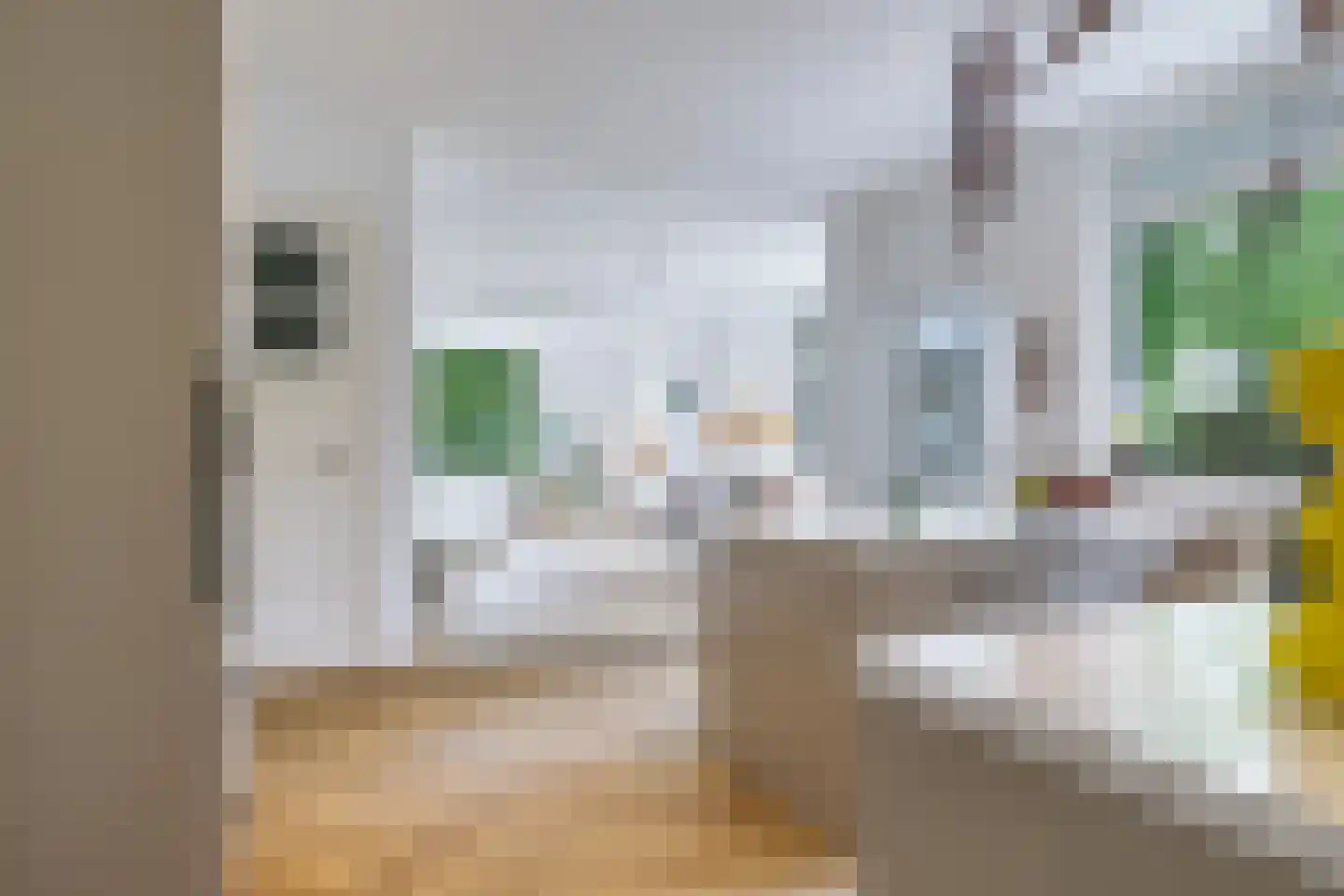 1e Molenbergstraat 11 Elst thumbnail 29