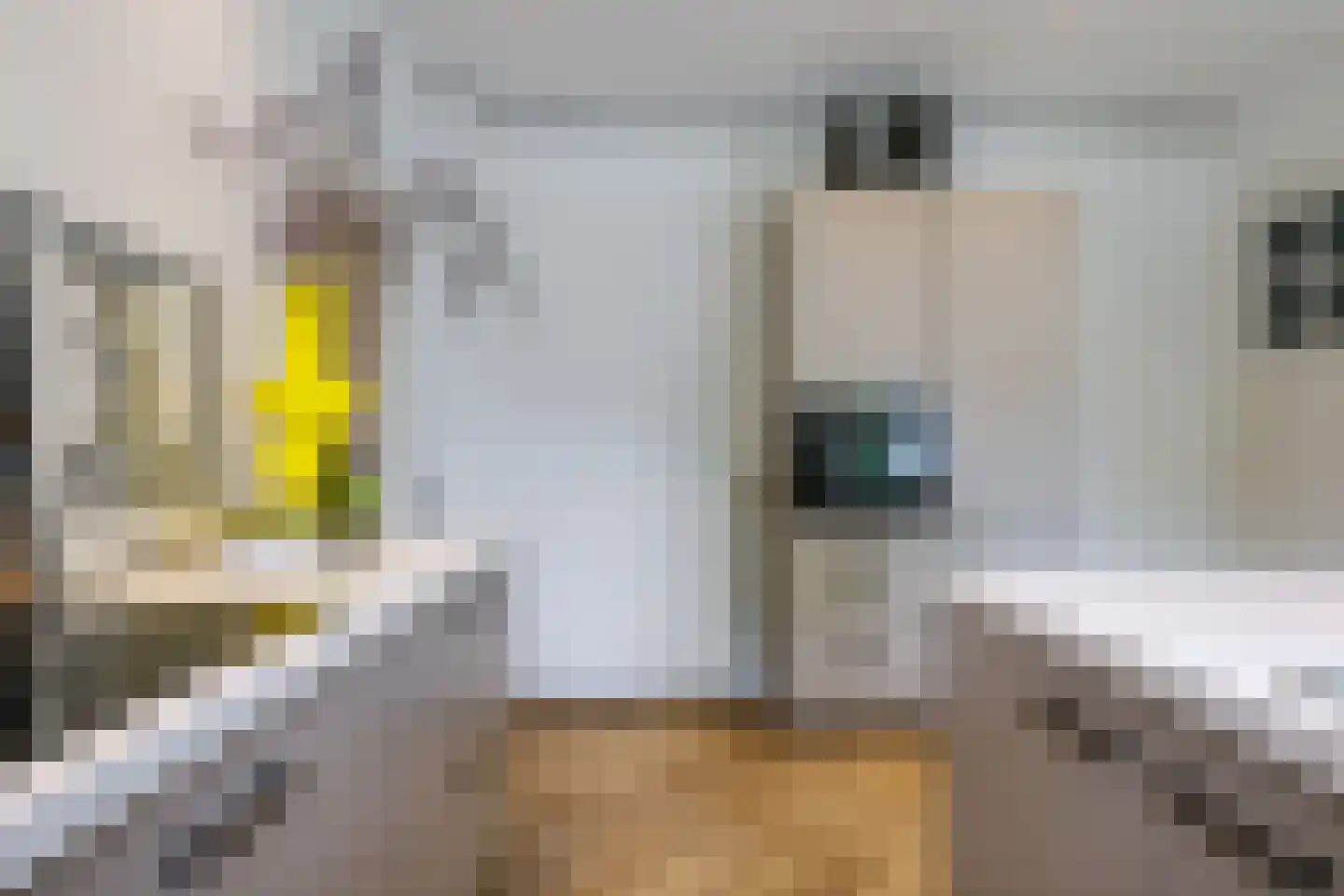 1e Molenbergstraat 11 Elst thumbnail 30