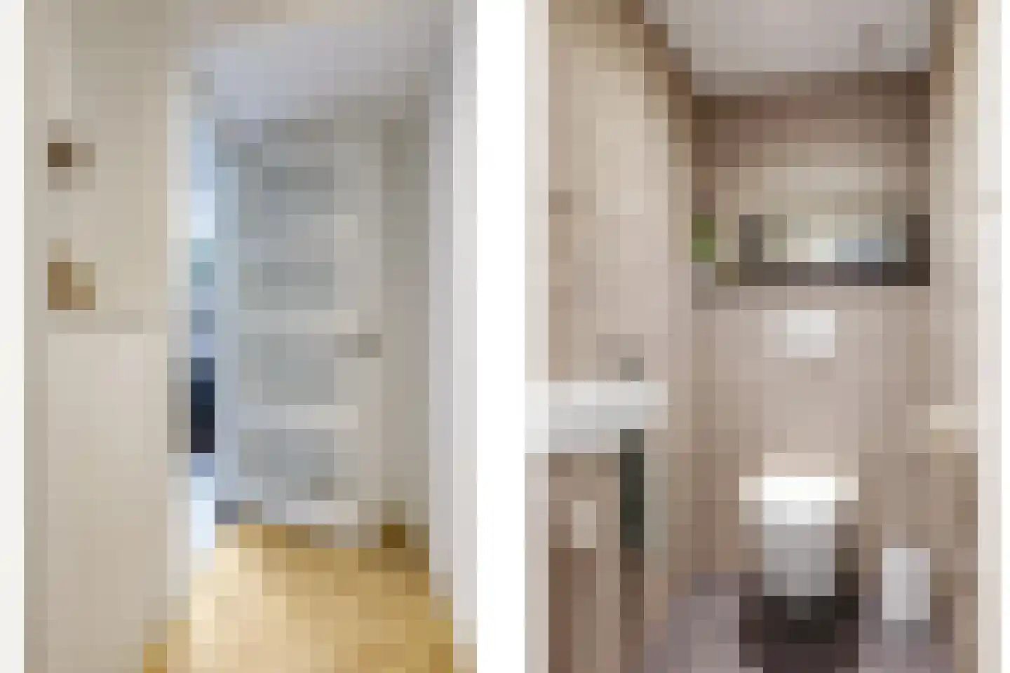 1e Molenbergstraat 11 Elst thumbnail 33