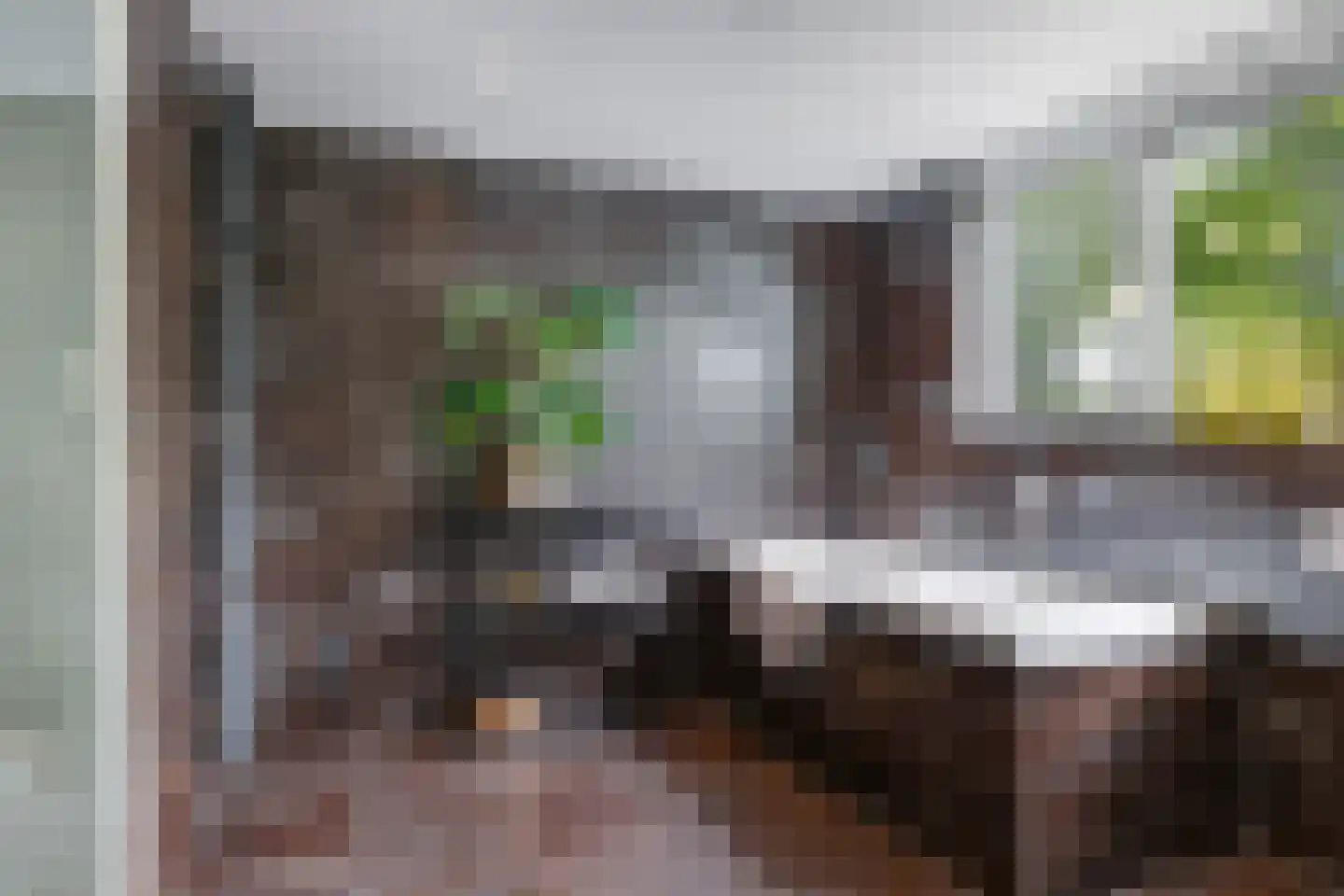 1e Molenbergstraat 11 Elst thumbnail 34