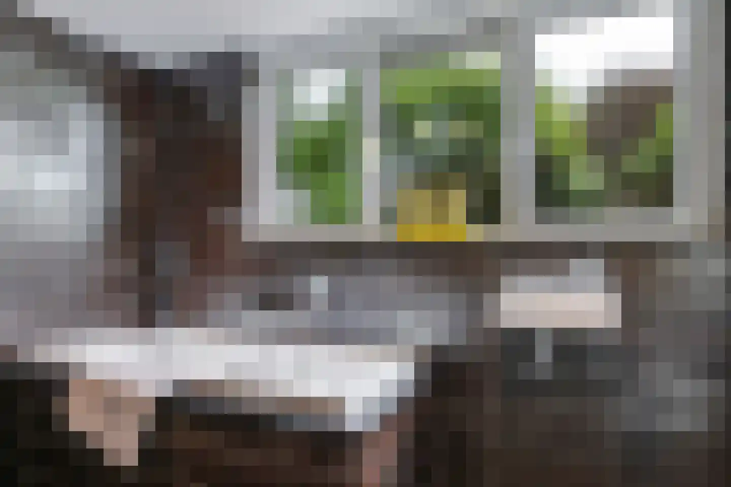 1e Molenbergstraat 11 Elst thumbnail 35