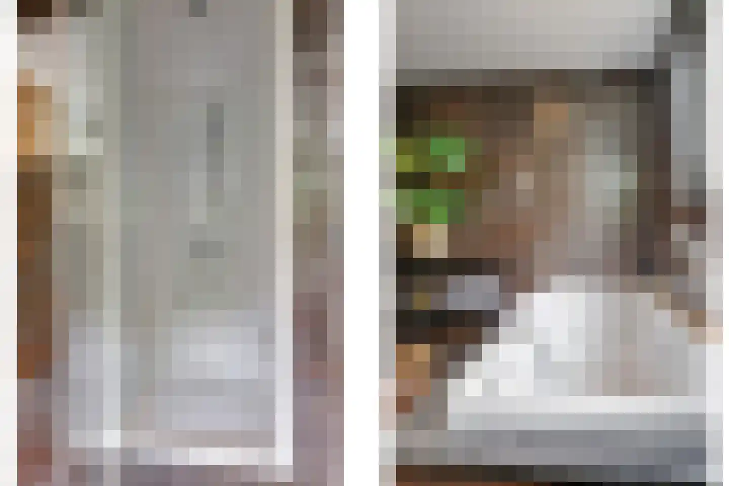 1e Molenbergstraat 11 Elst thumbnail 36