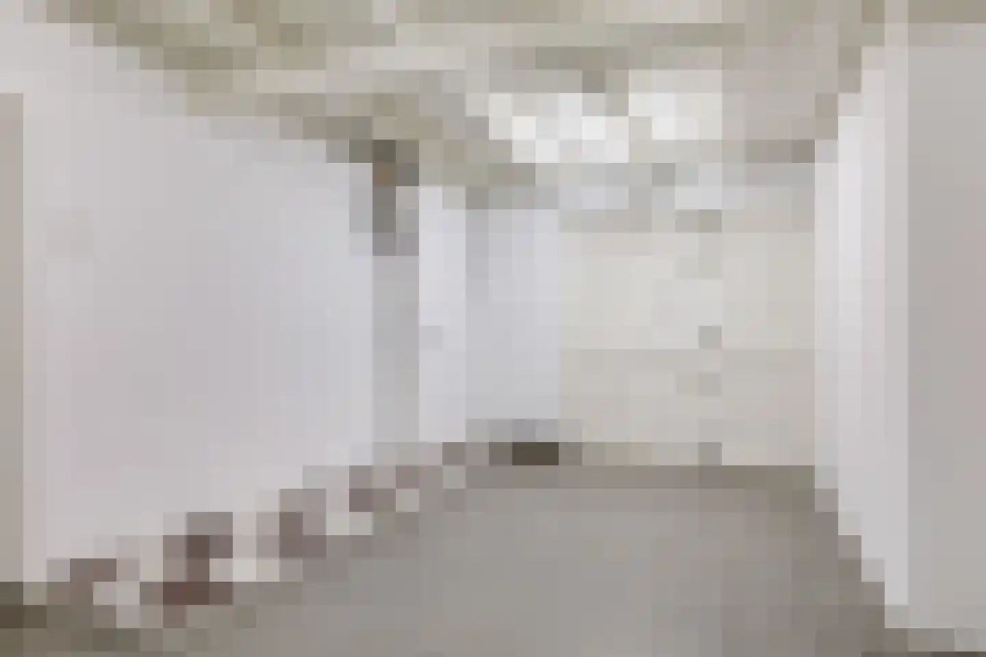1e Molenbergstraat 11 Elst thumbnail 37