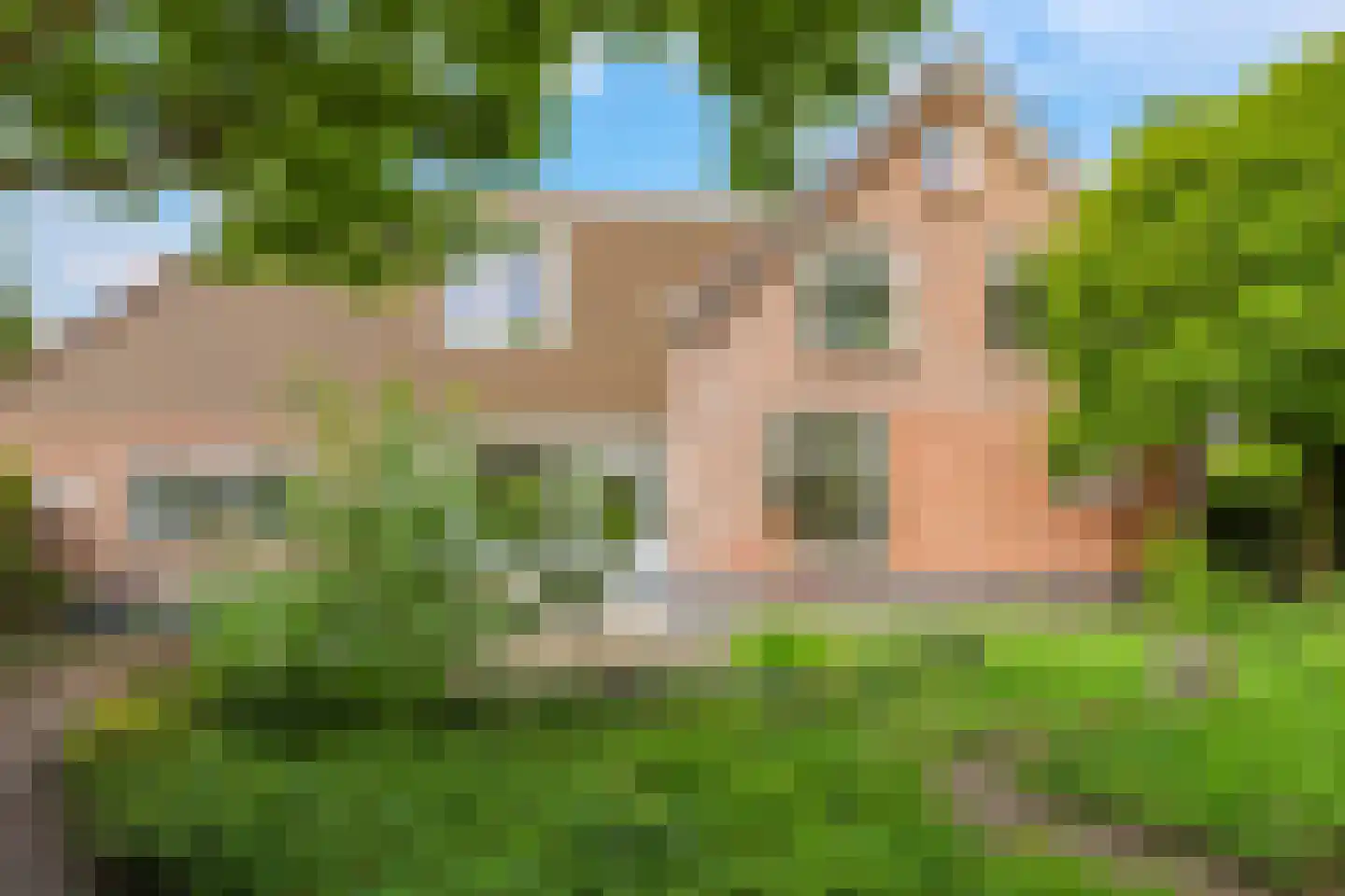 1e Molenbergstraat 11 Elst thumbnail 39