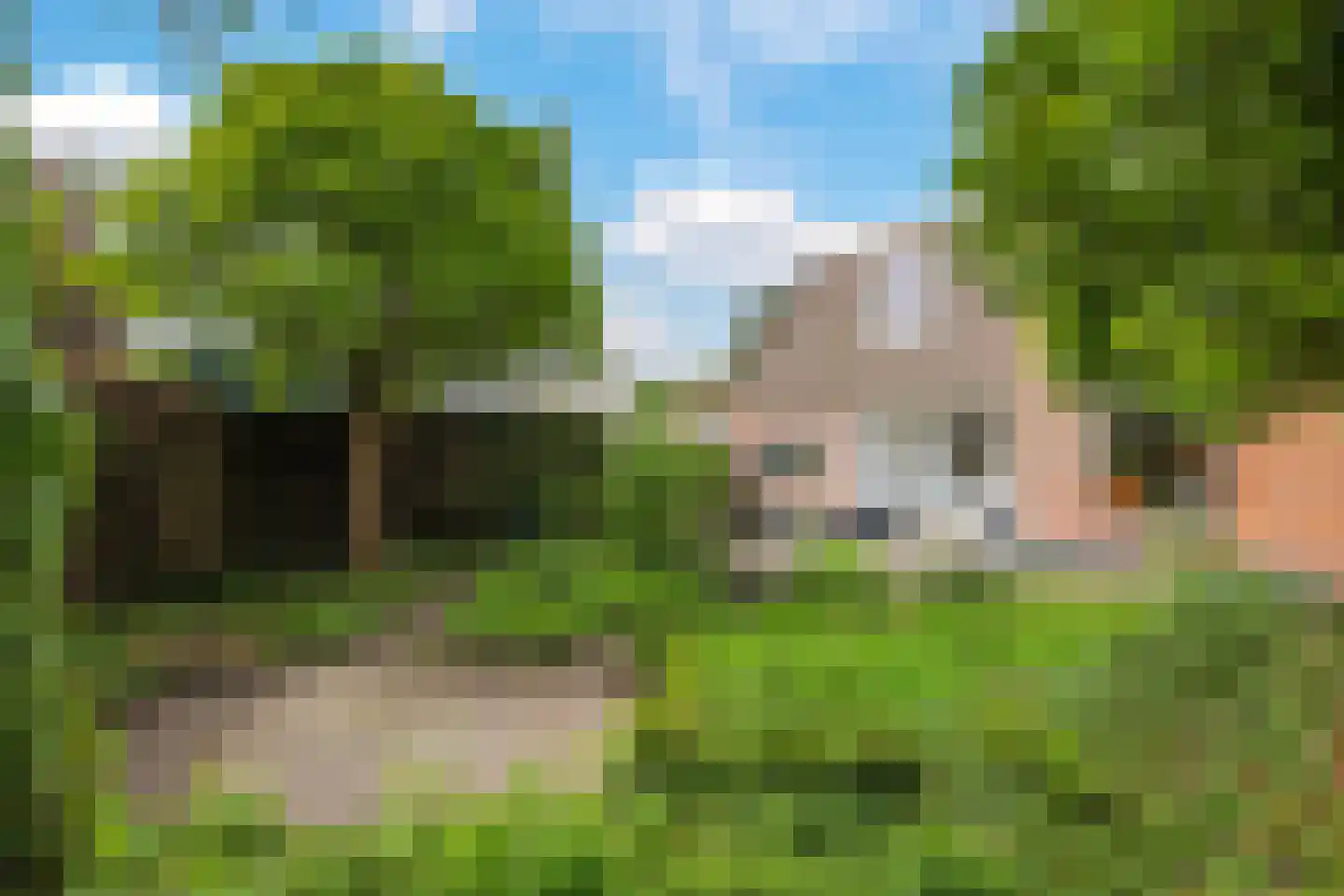 1e Molenbergstraat 11 Elst thumbnail 40
