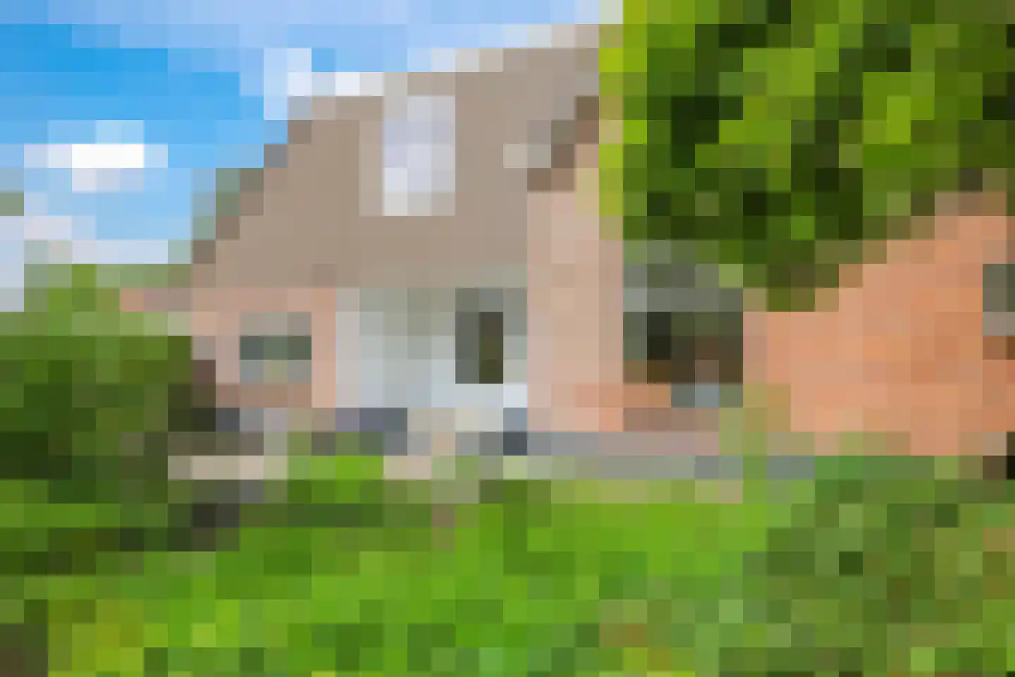 1e Molenbergstraat 11 Elst thumbnail 41