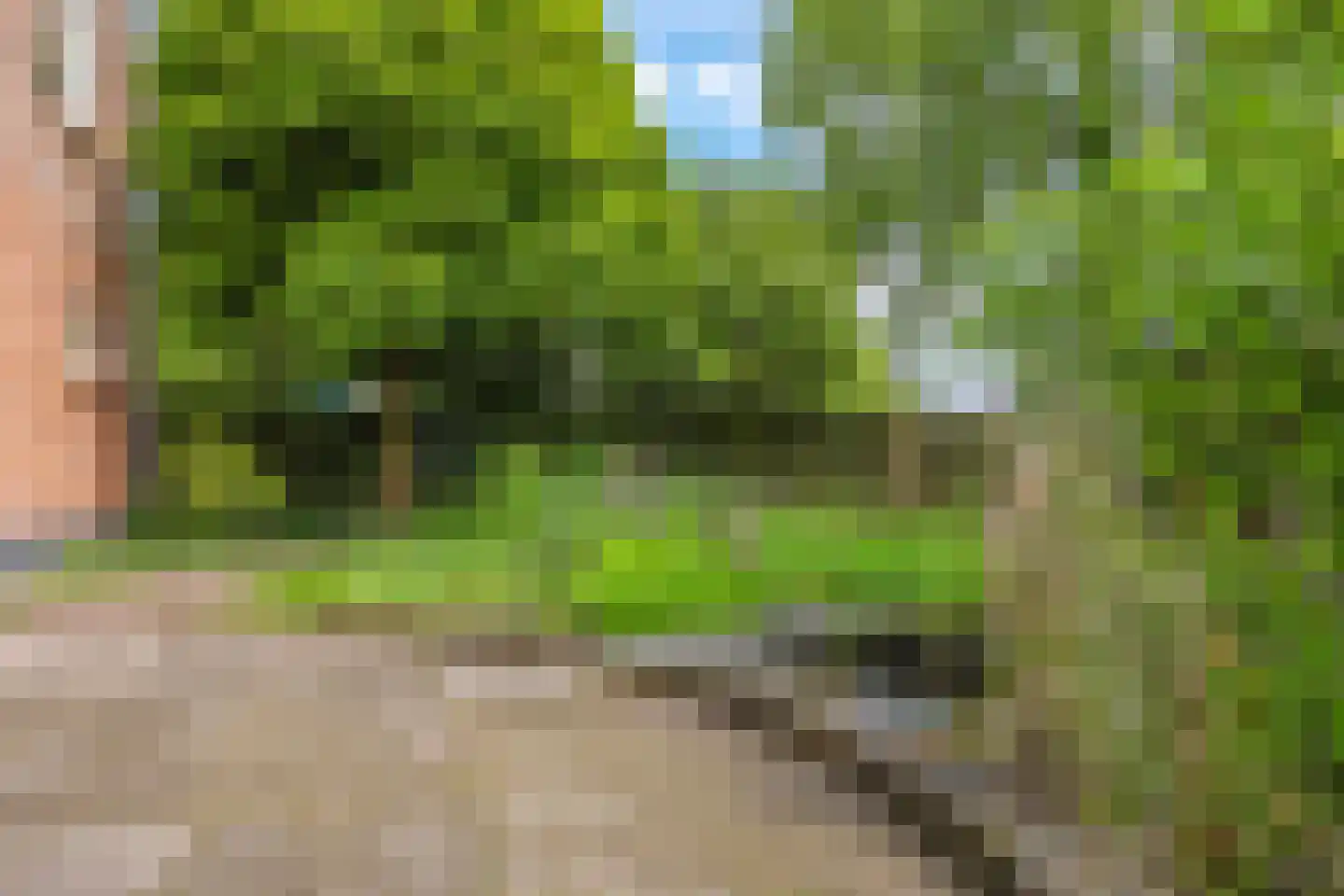 1e Molenbergstraat 11 Elst thumbnail 46