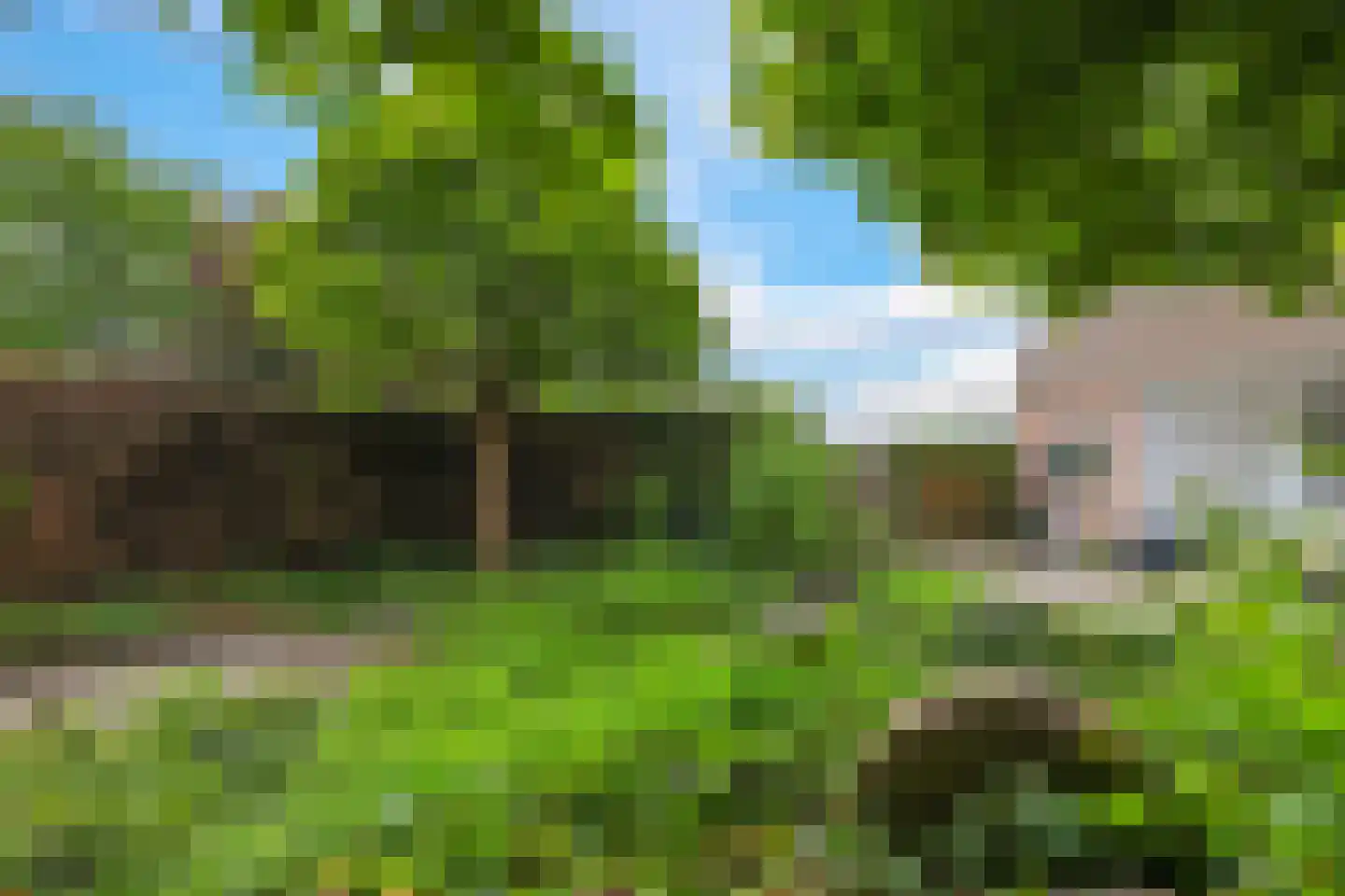 1e Molenbergstraat 11 Elst thumbnail 47