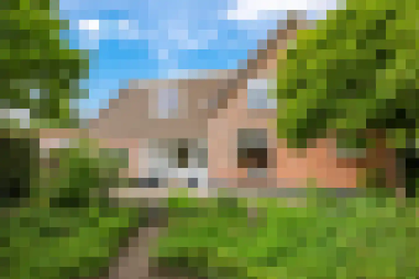 1e Molenbergstraat 11 Elst thumbnail 5