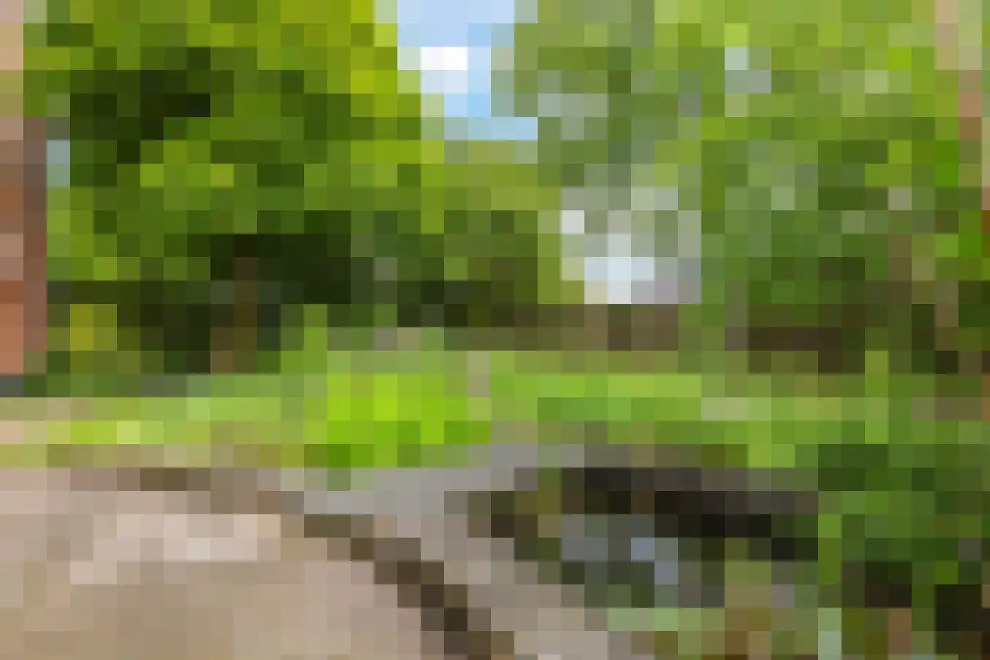 1e Molenbergstraat 11 Elst thumbnail 51