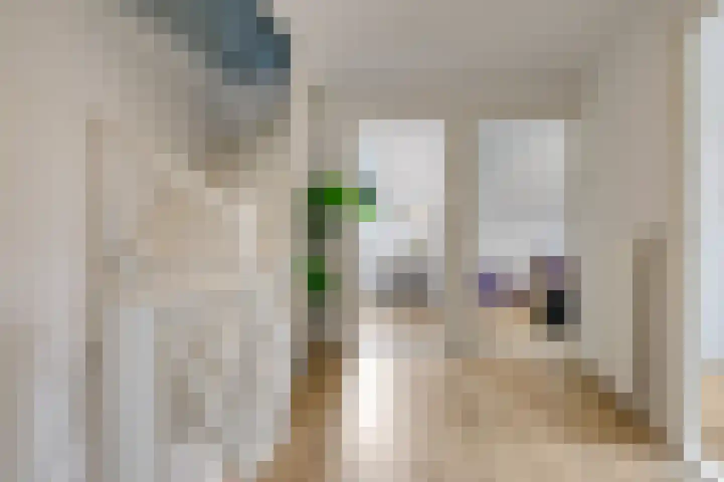 1e Molenbergstraat 11 Elst thumbnail 55