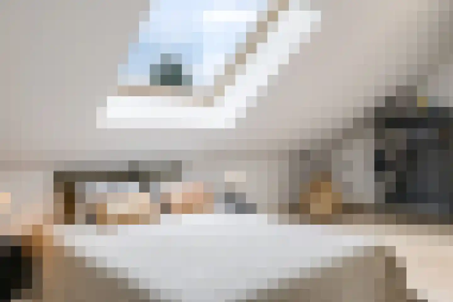 1e Molenbergstraat 11 Elst thumbnail 59