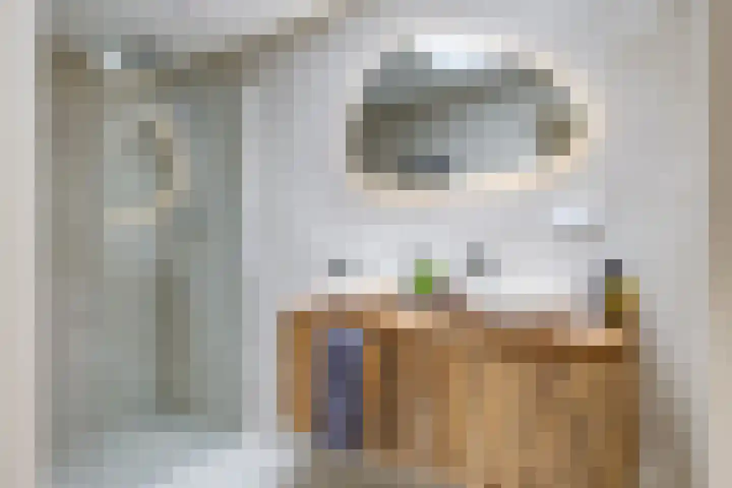 1e Molenbergstraat 11 Elst thumbnail 62