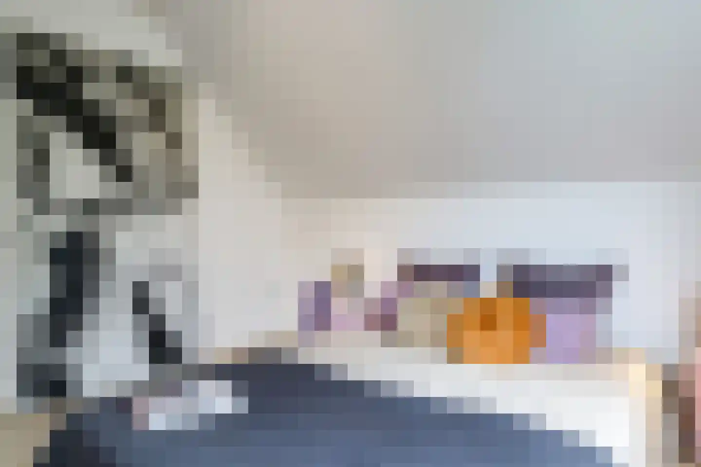1e Molenbergstraat 11 Elst thumbnail 66
