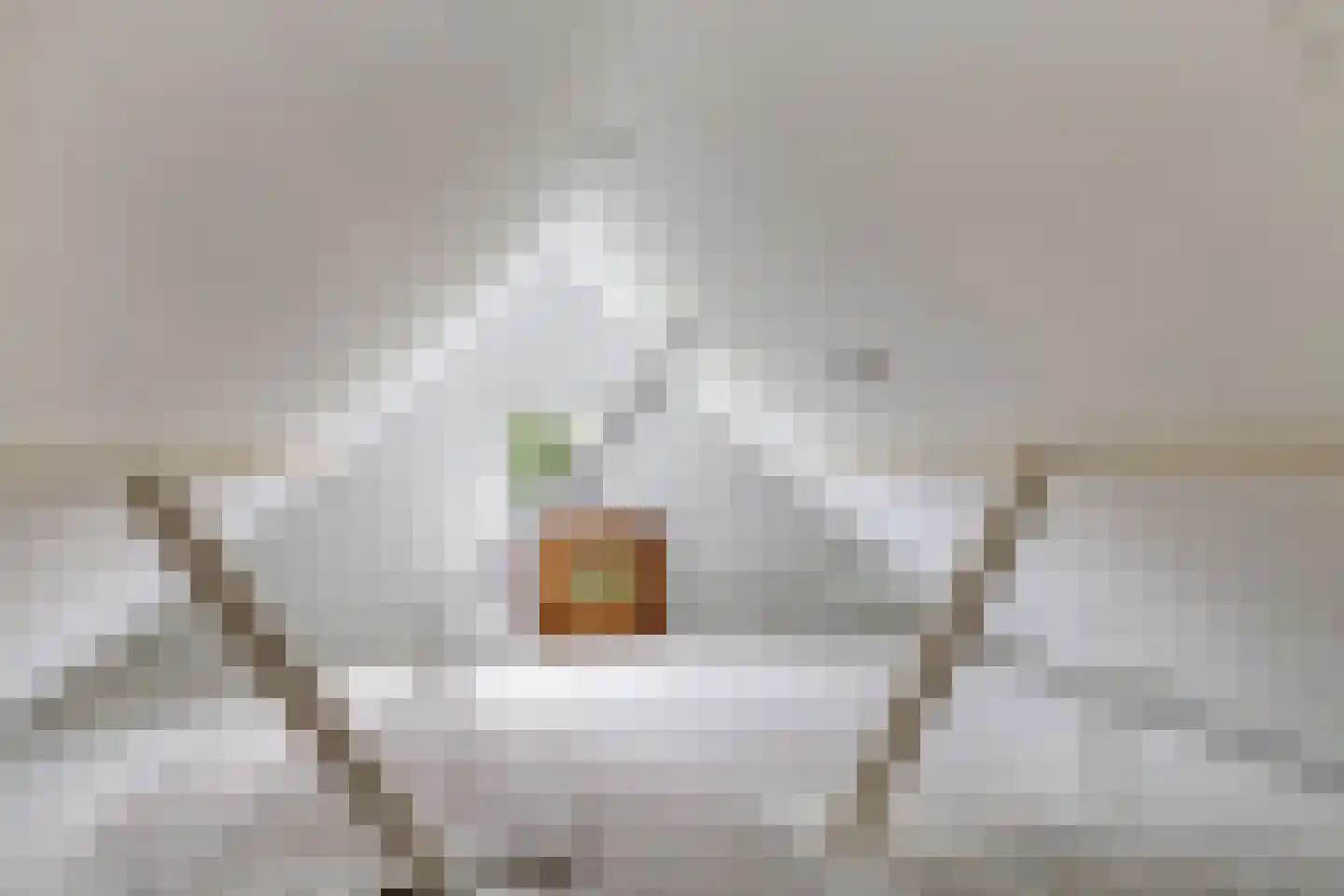1e Molenbergstraat 11 Elst thumbnail 69