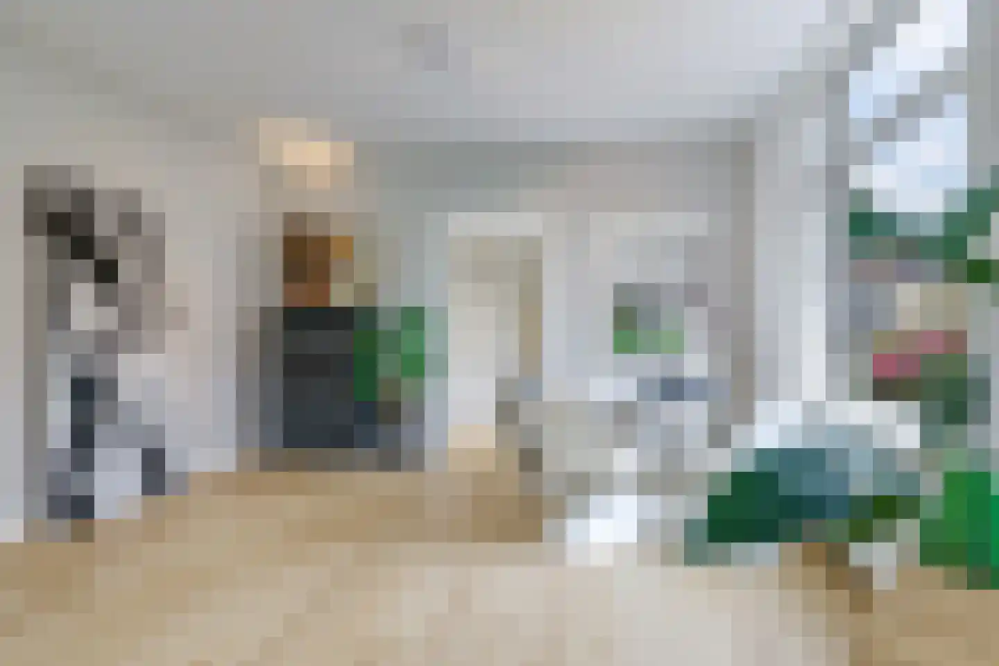 1e Molenbergstraat 13 Elst thumbnail 13