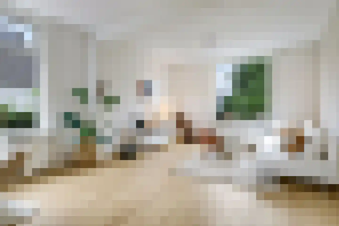 1e Molenbergstraat 13 Elst thumbnail 17