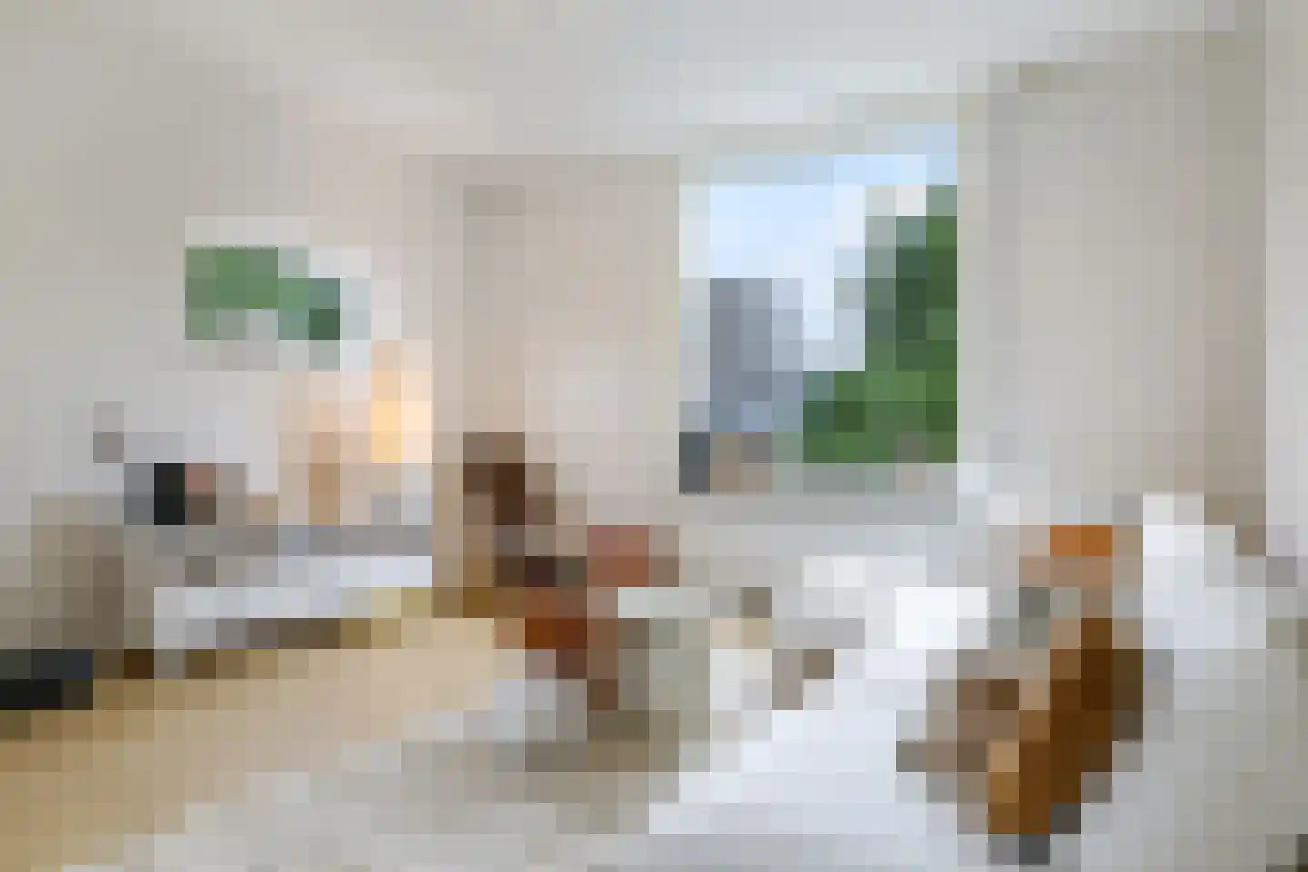 1e Molenbergstraat 13 Elst thumbnail 20