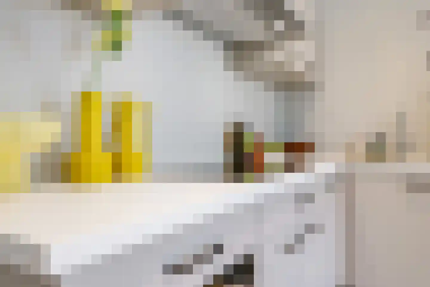 1e Molenbergstraat 13 Elst thumbnail 24