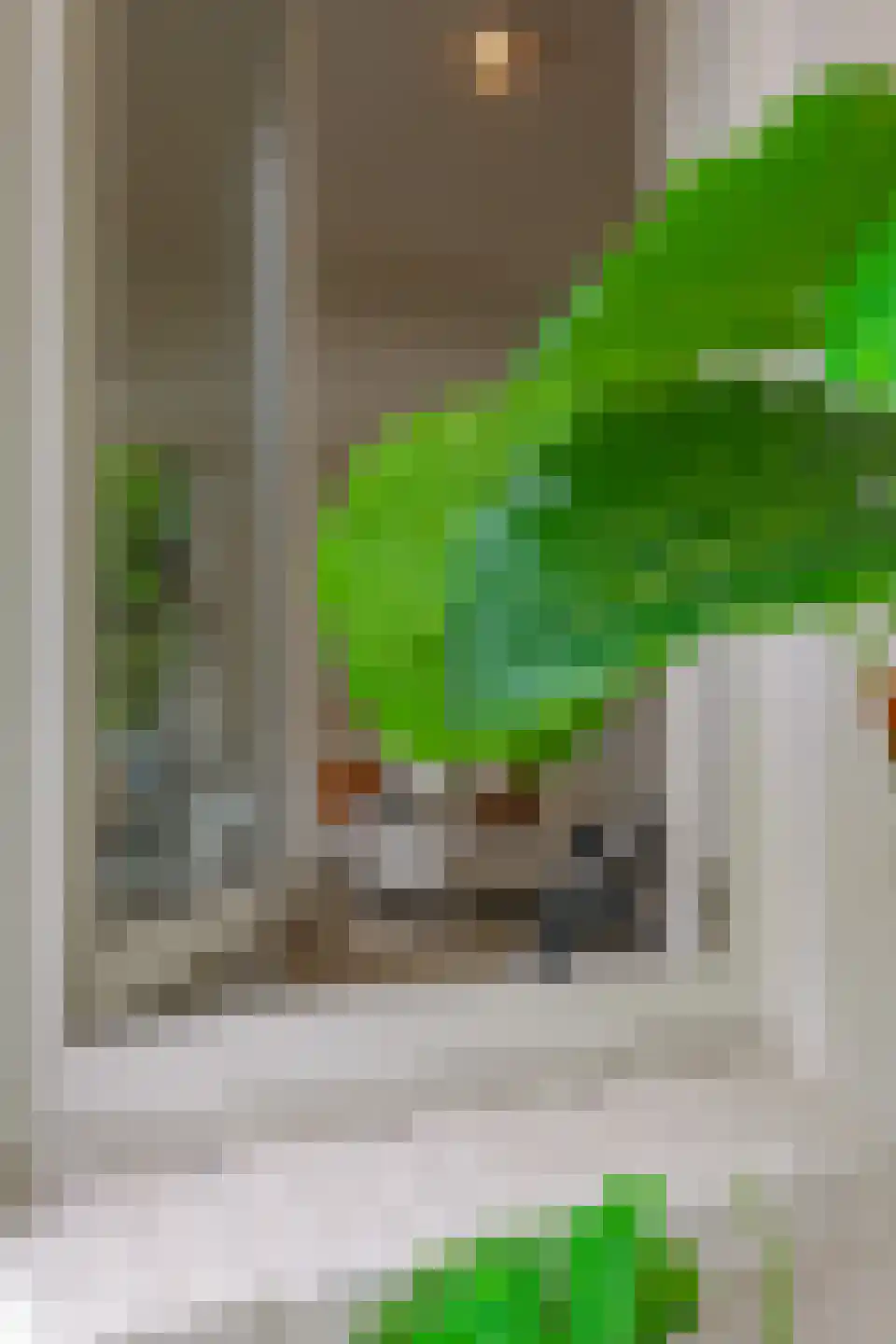 1e Molenbergstraat 13 Elst thumbnail 36