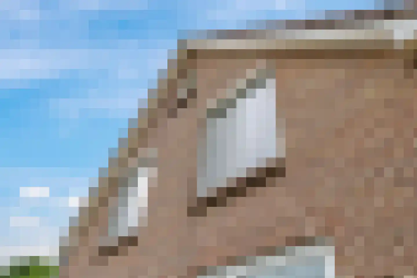 1e Molenbergstraat 13 Elst thumbnail 38