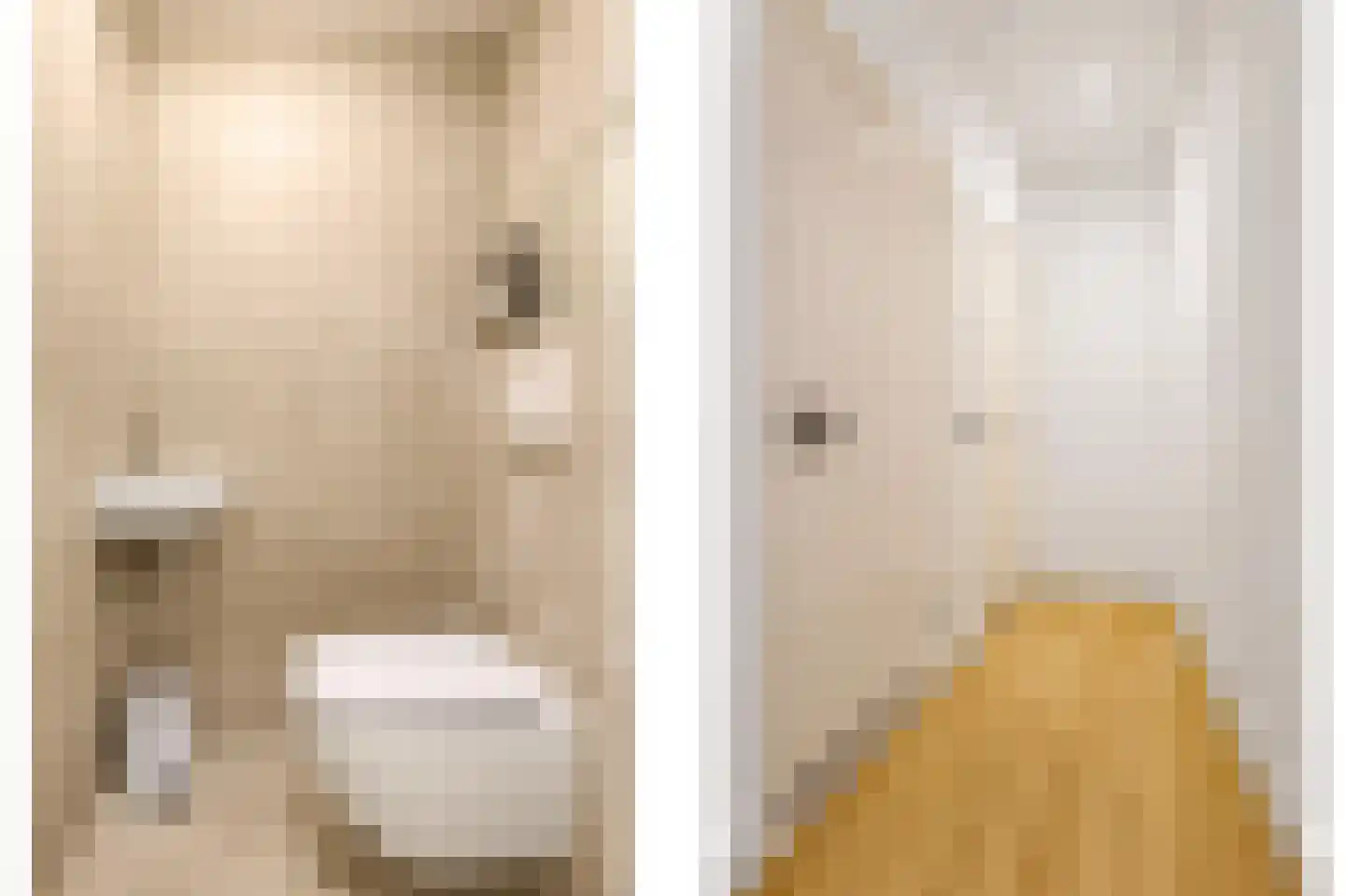 1e Molenbergstraat 13 Elst thumbnail 43
