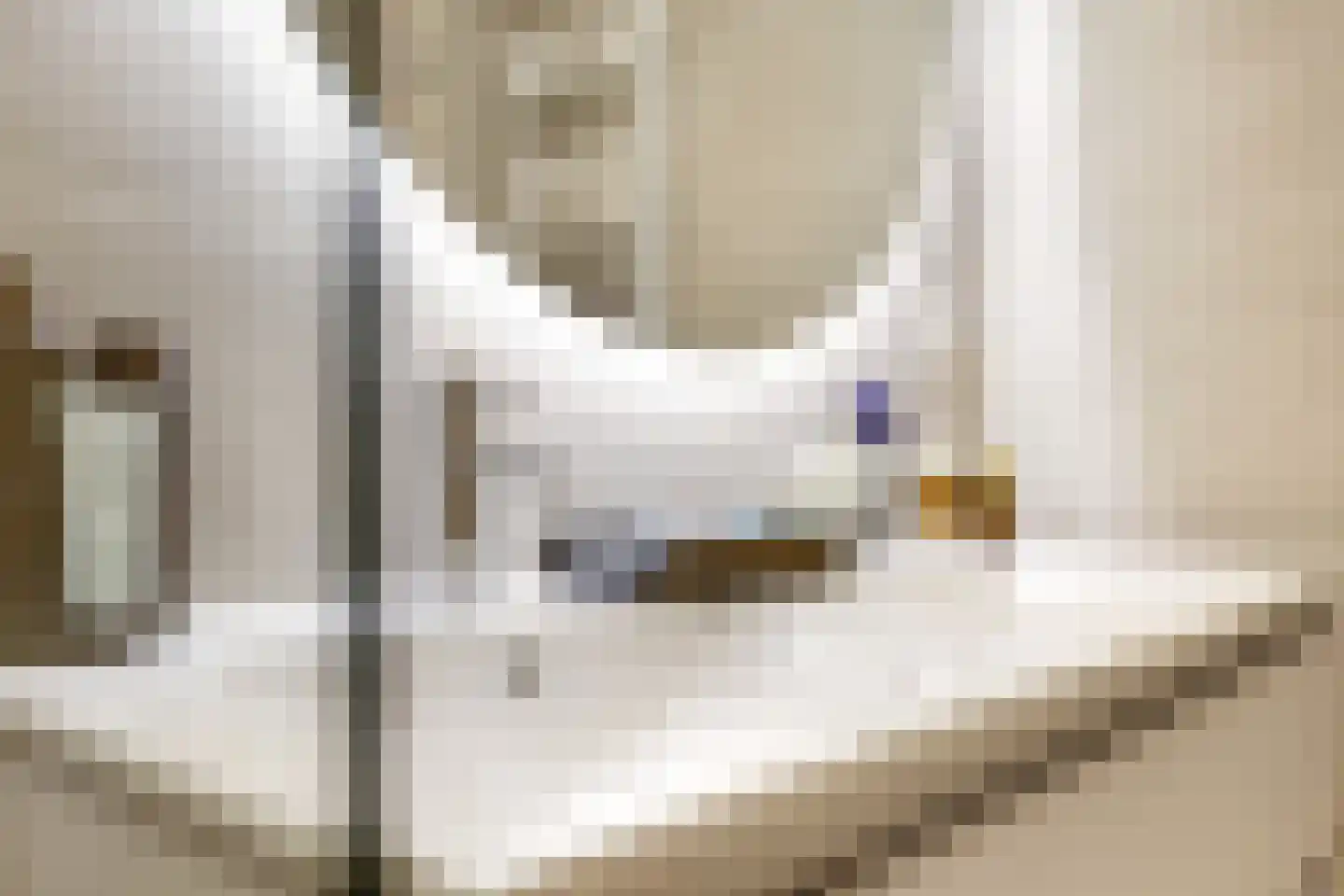 1e Molenbergstraat 13 Elst thumbnail 45