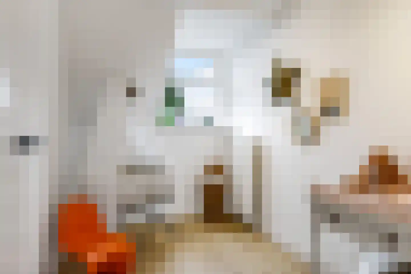 1e Molenbergstraat 13 Elst thumbnail 51
