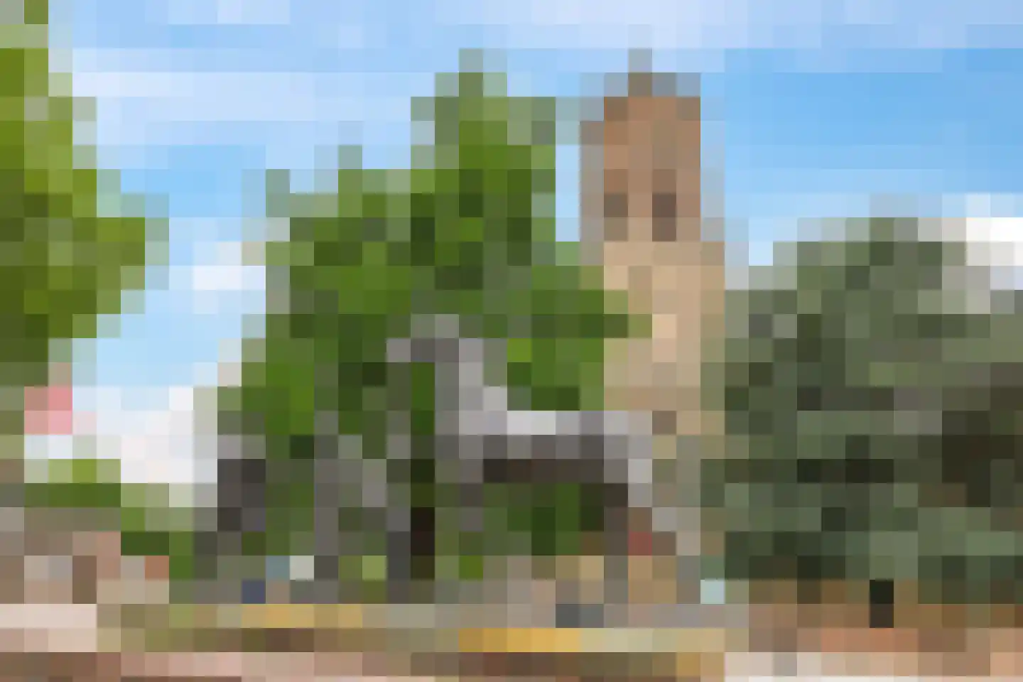 1e Molenbergstraat 13 Elst thumbnail 64