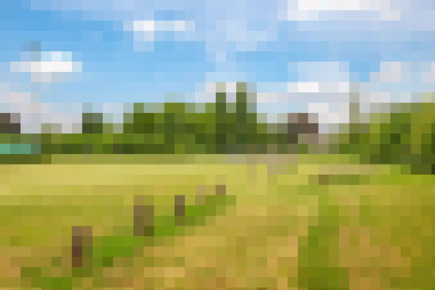 1e Molenbergstraat 13 Elst thumbnail 66