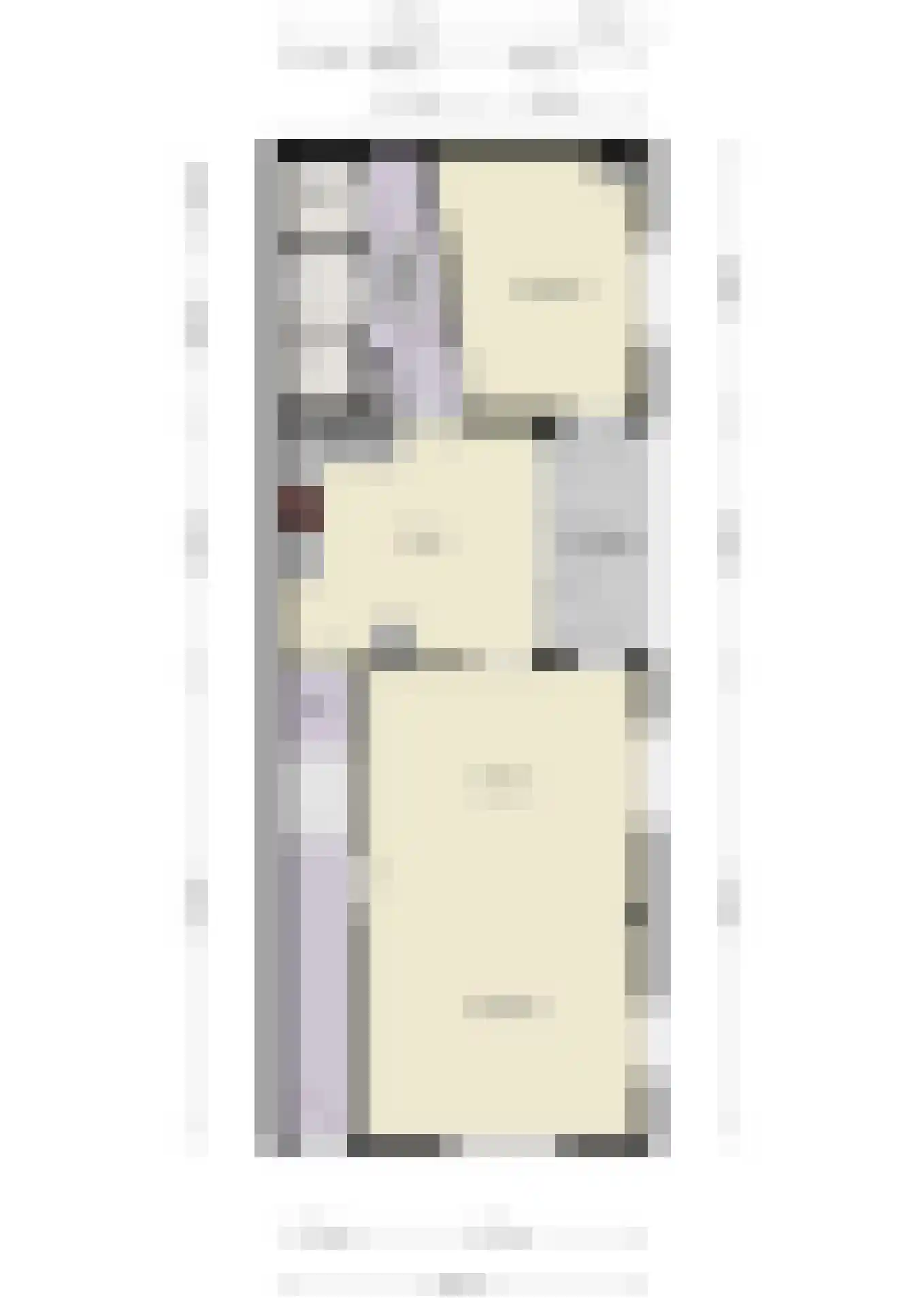 1e Molenbergstraat 13 Elst thumbnail 68