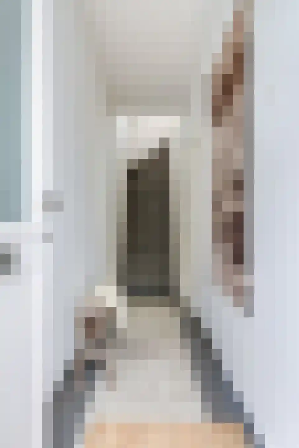 1e Molenbergstraat 13 Elst thumbnail 8