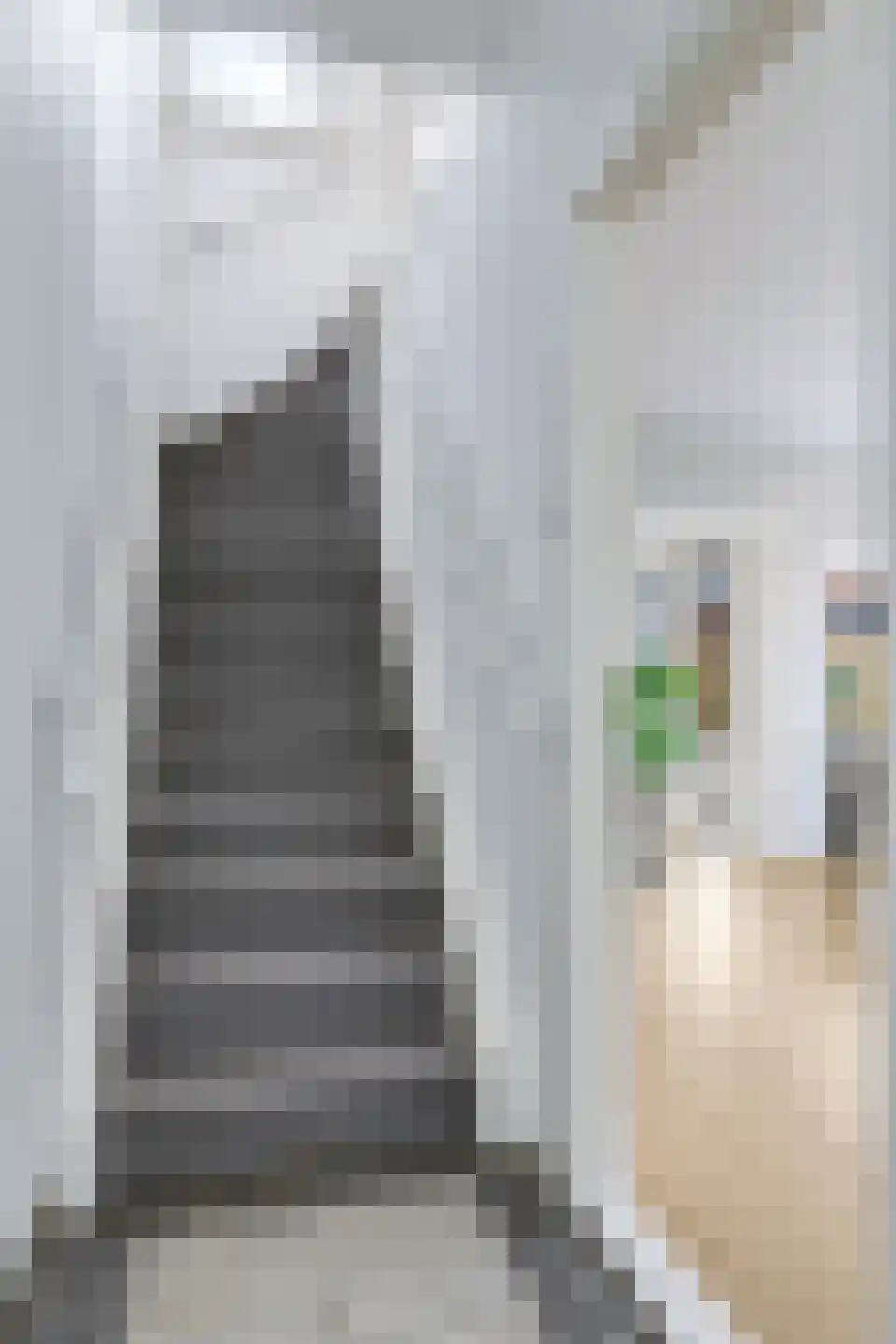 1e Molenbergstraat 13 Elst thumbnail 9
