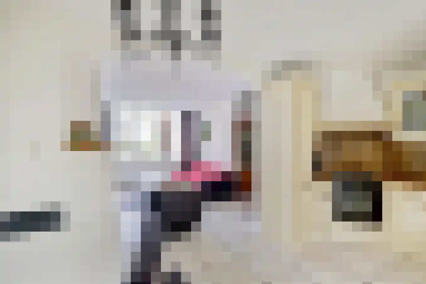1e Nieuwstraat 19 Hilversum thumbnail 14