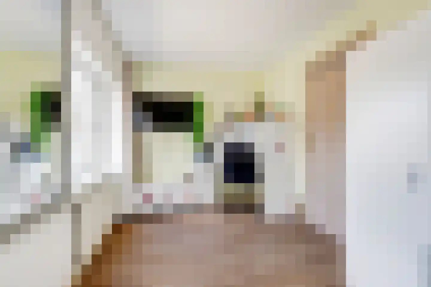 1e Nieuwstraat 19 Hilversum thumbnail 19