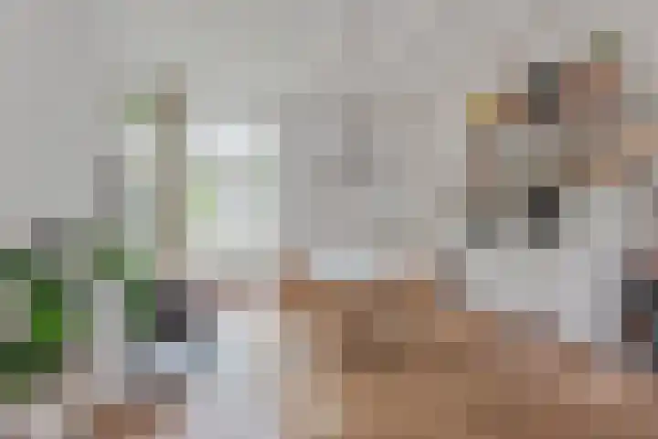 1e Nieuwstraat 42 Hilversum thumbnail 9