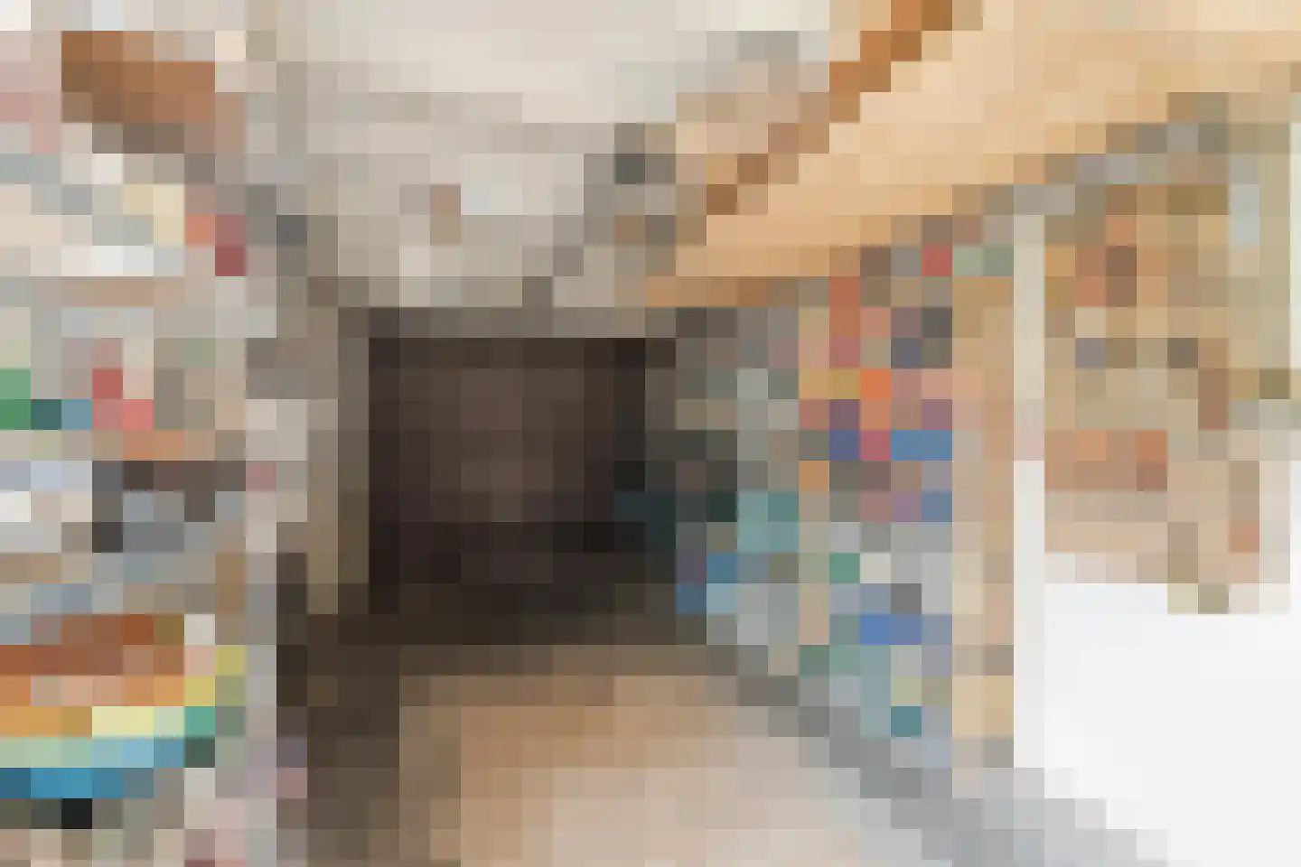 1e Nieuwstraat 54 Hilversum thumbnail 25