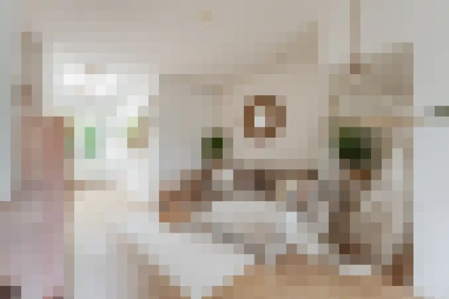1e Nieuwstraat 54 Hilversum thumbnail 4