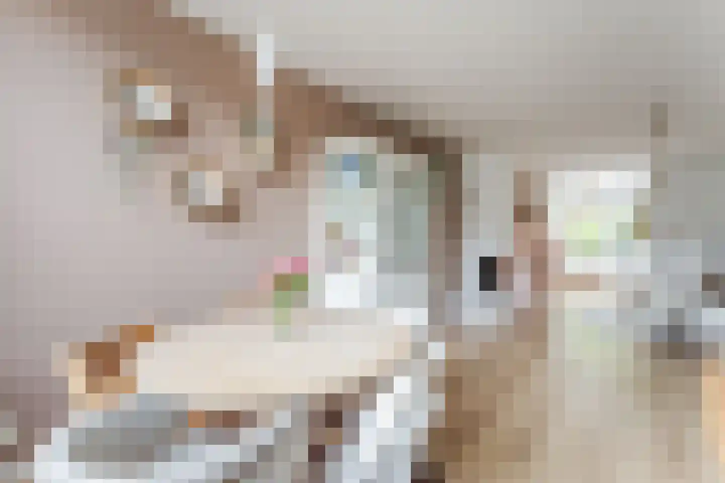 1e Nieuwstraat 54 Hilversum thumbnail 6