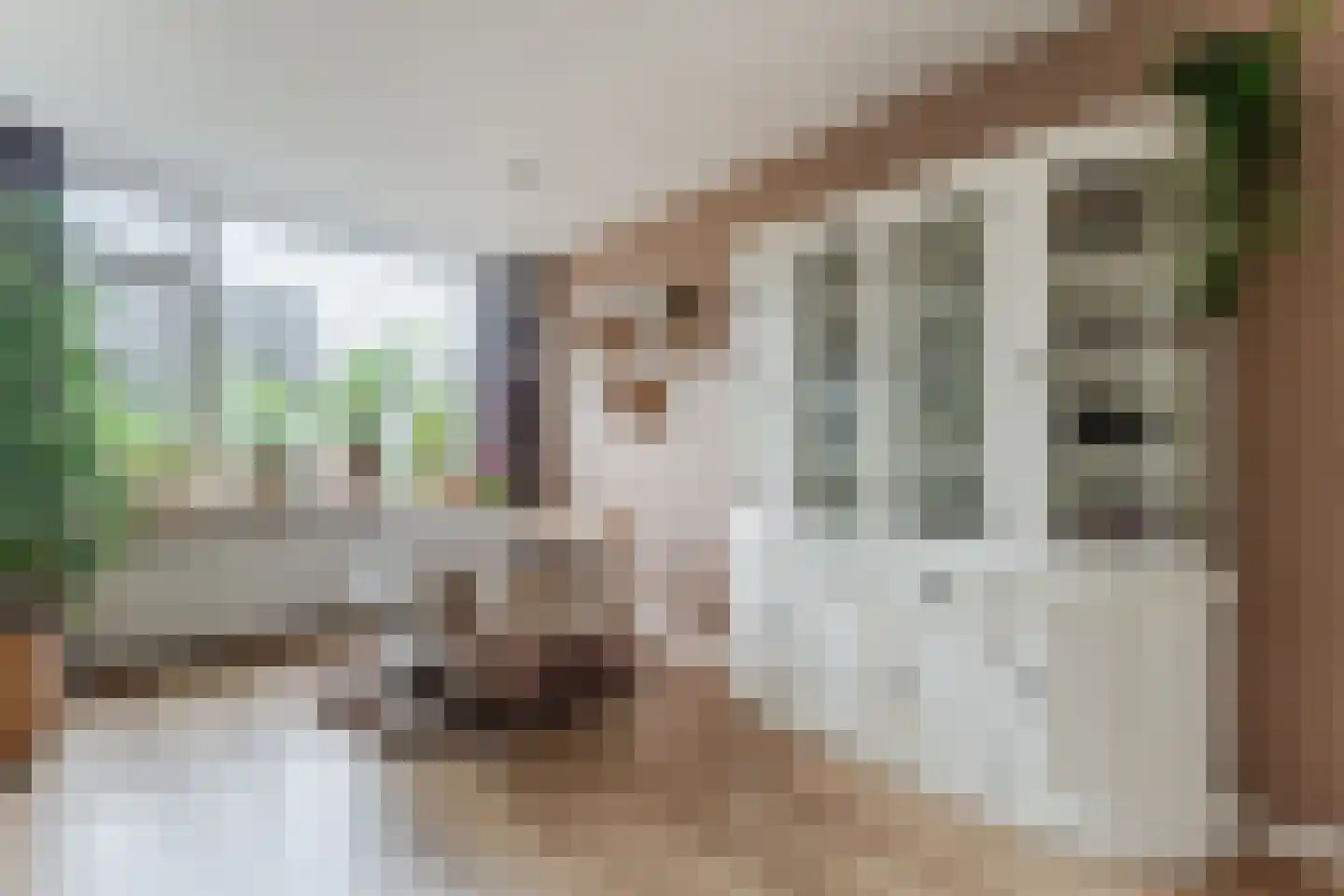 1e Nieuwstraat 54 Hilversum thumbnail 7