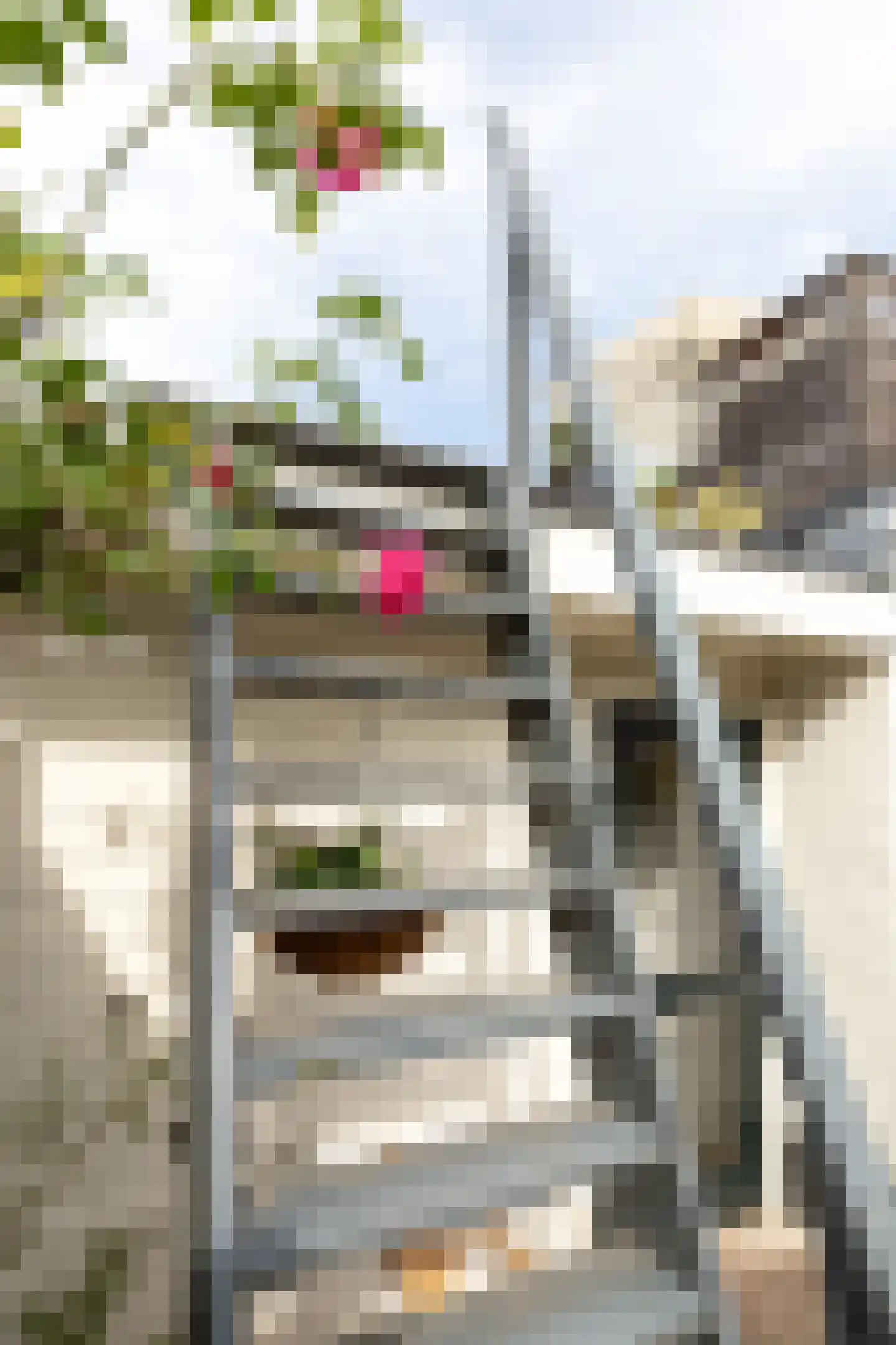 1e Nieuwstraat 61 Hilversum thumbnail 29