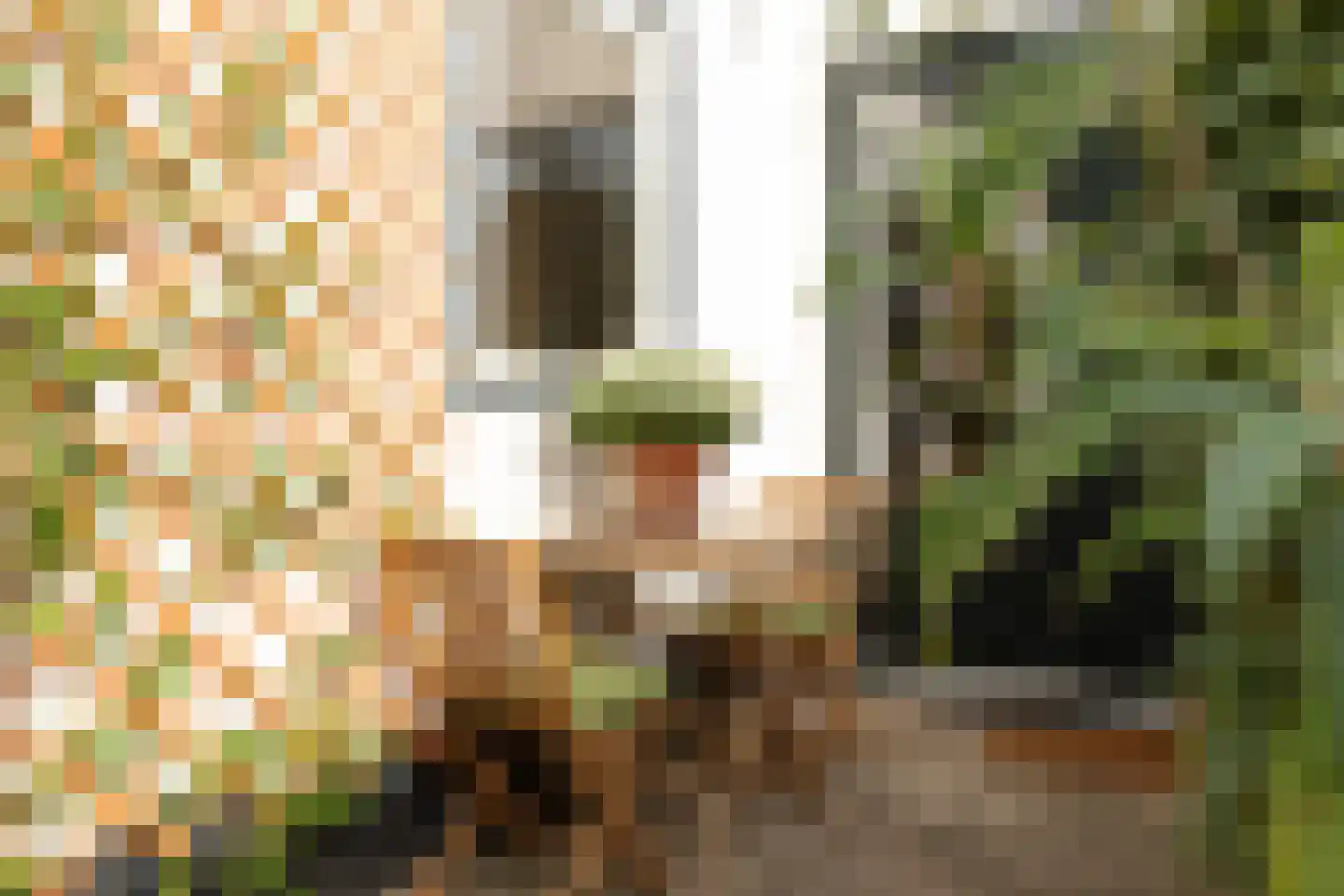 1e Nieuwstraat 61 Hilversum thumbnail 30