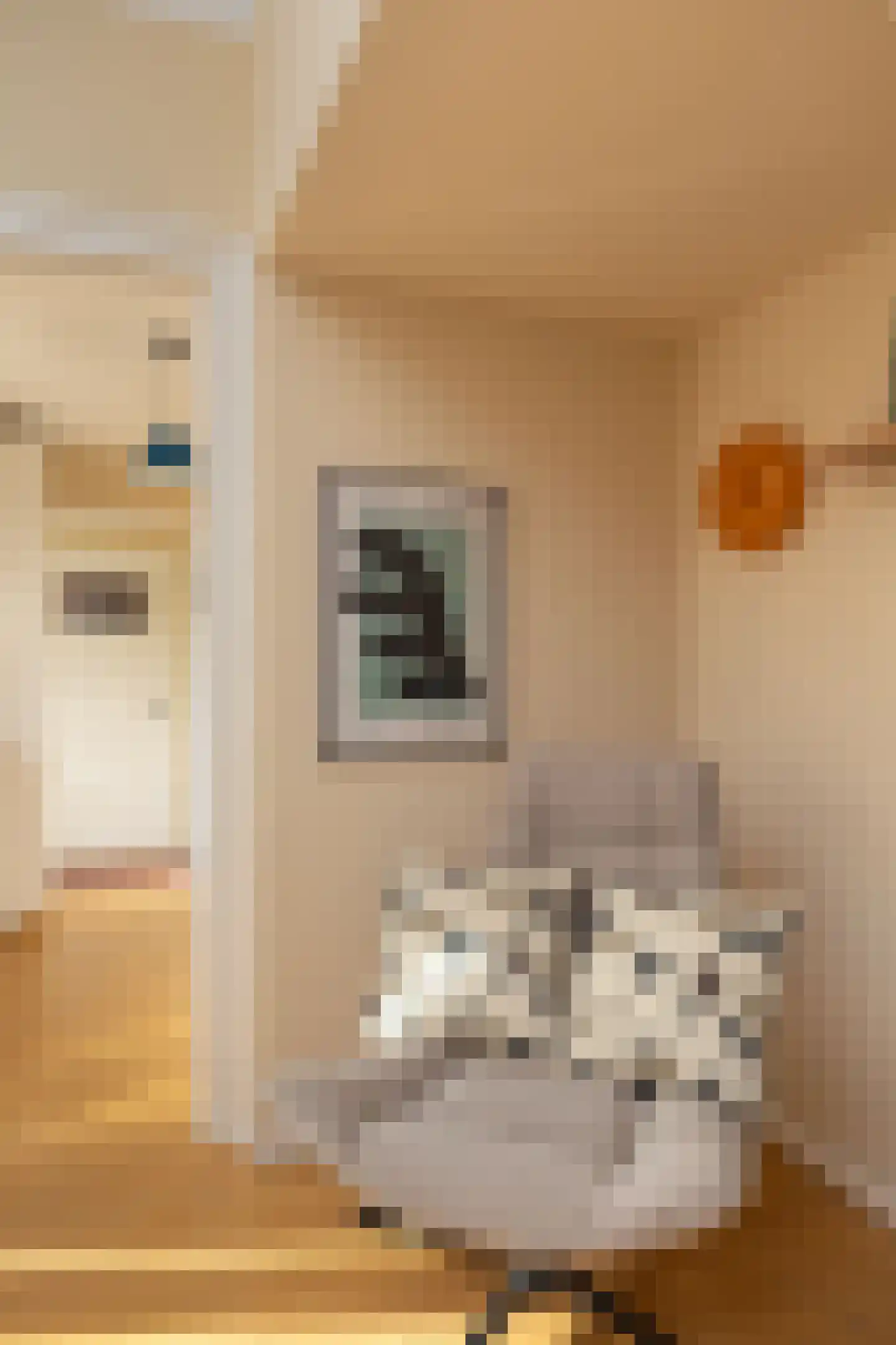 1e Nieuwstraat 61 Hilversum thumbnail 8