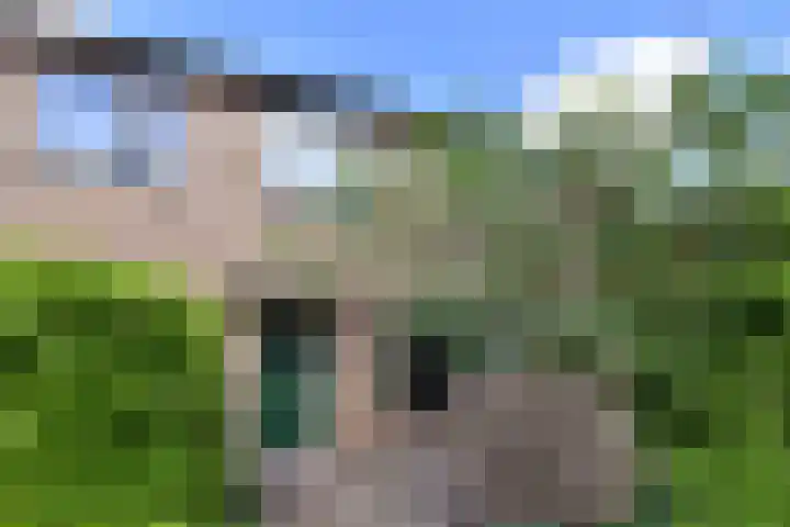1e Nieuwstraat 74 Hilversum thumbnail 15