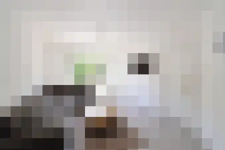 1e Nieuwstraat 74 Hilversum thumbnail 6