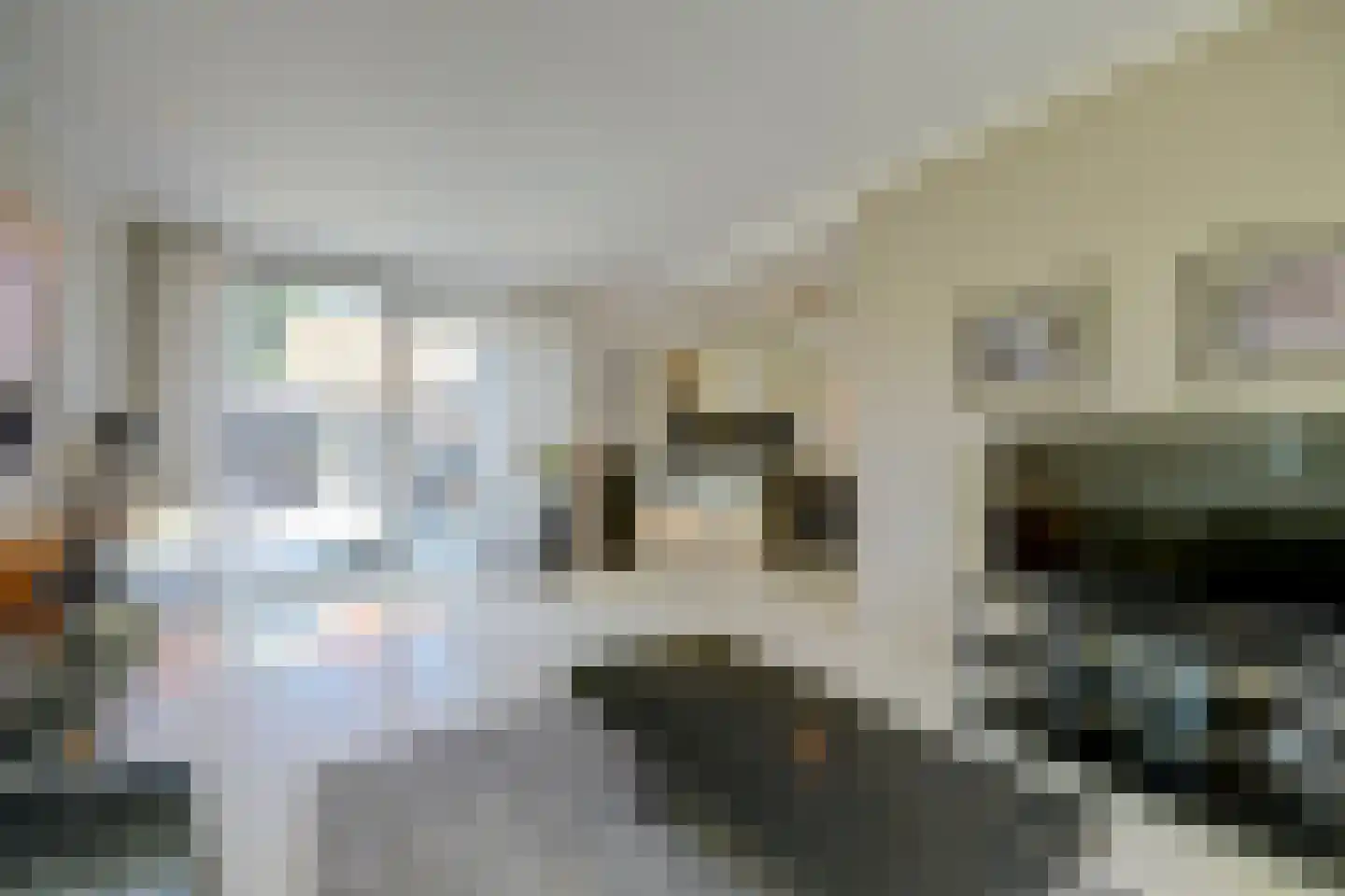 1e Oostdijkweg 6 Oostdijk thumbnail 11