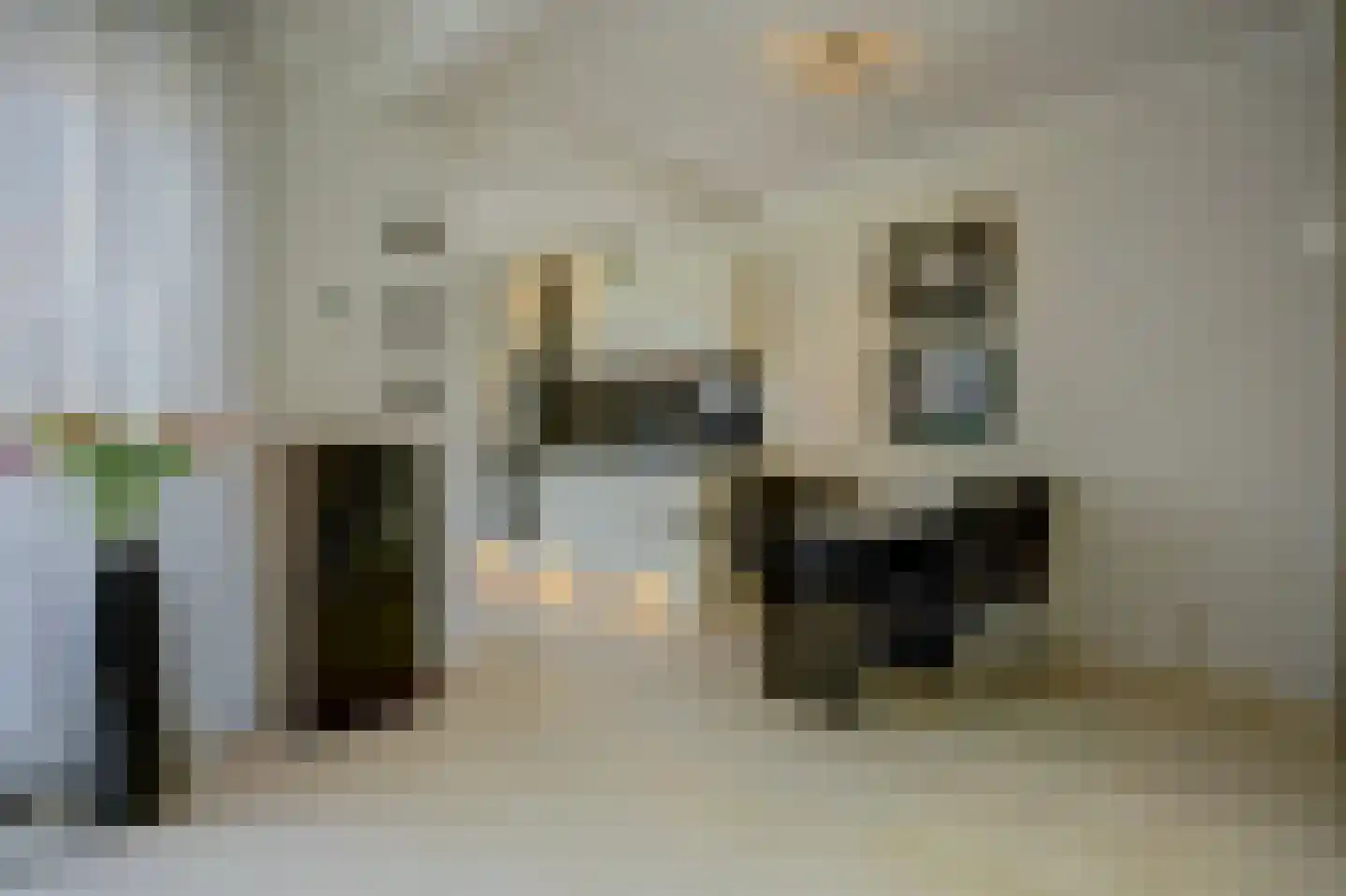 1e Oostdijkweg 6 Oostdijk thumbnail 14