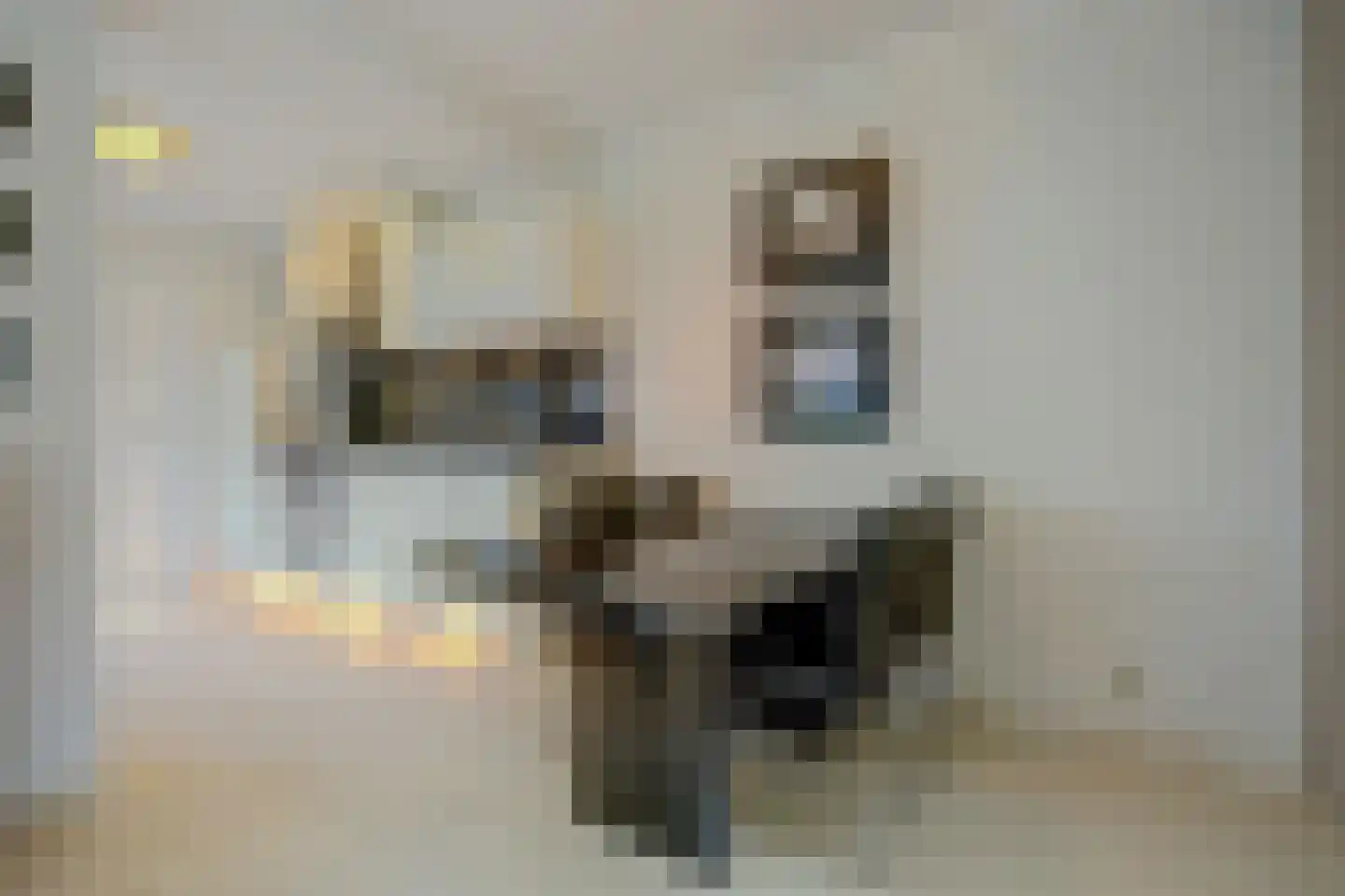 1e Oostdijkweg 6 Oostdijk thumbnail 15
