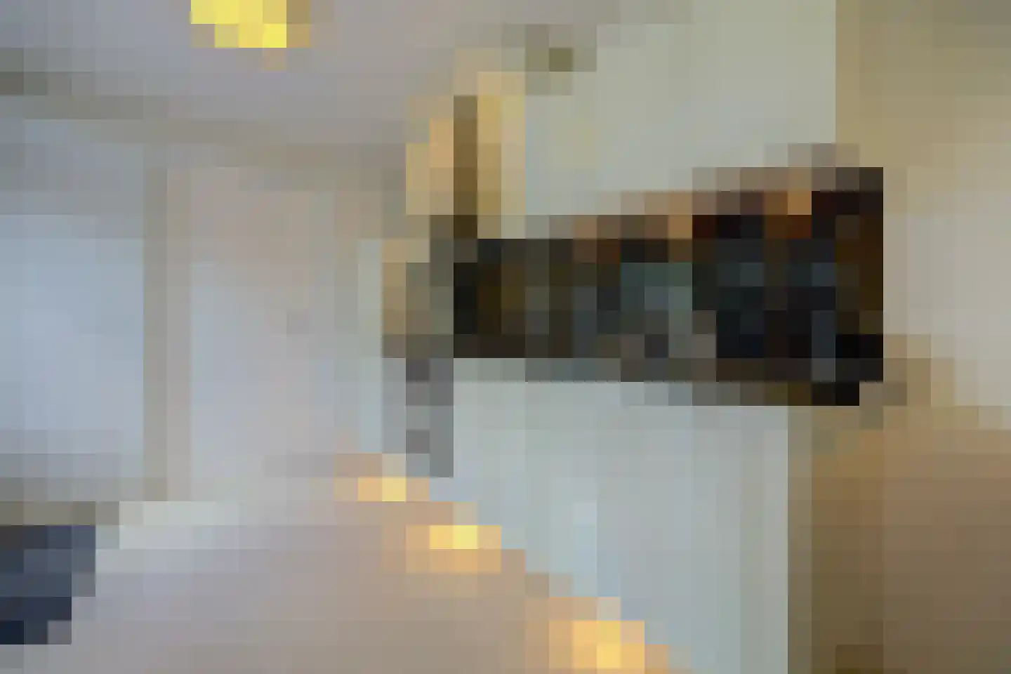1e Oostdijkweg 6 Oostdijk thumbnail 16