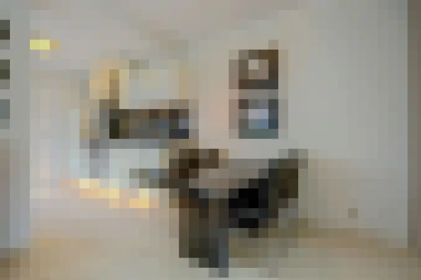 1e Oostdijkweg 6 Oostdijk thumbnail 16